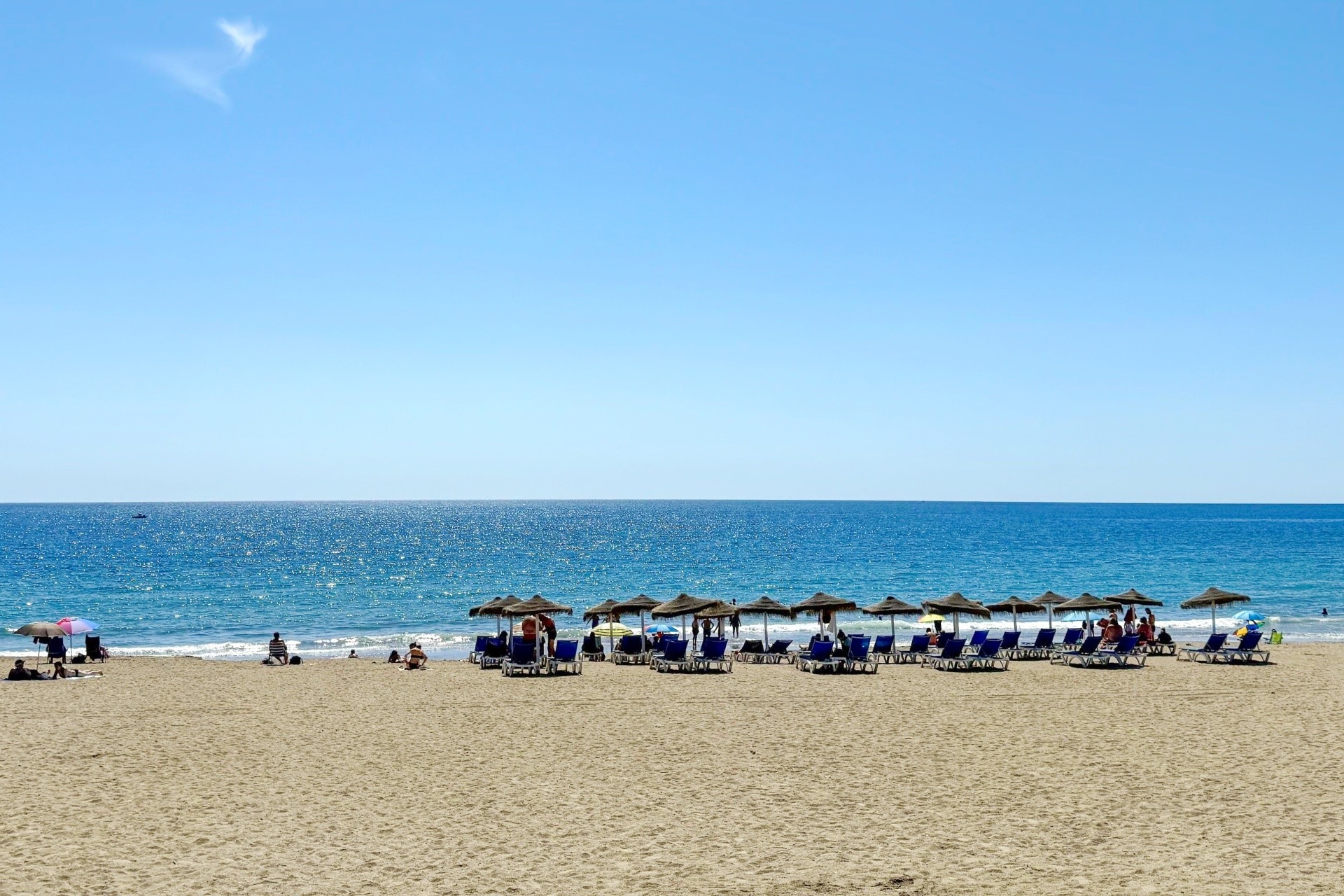 Best Oasis Tropical 6