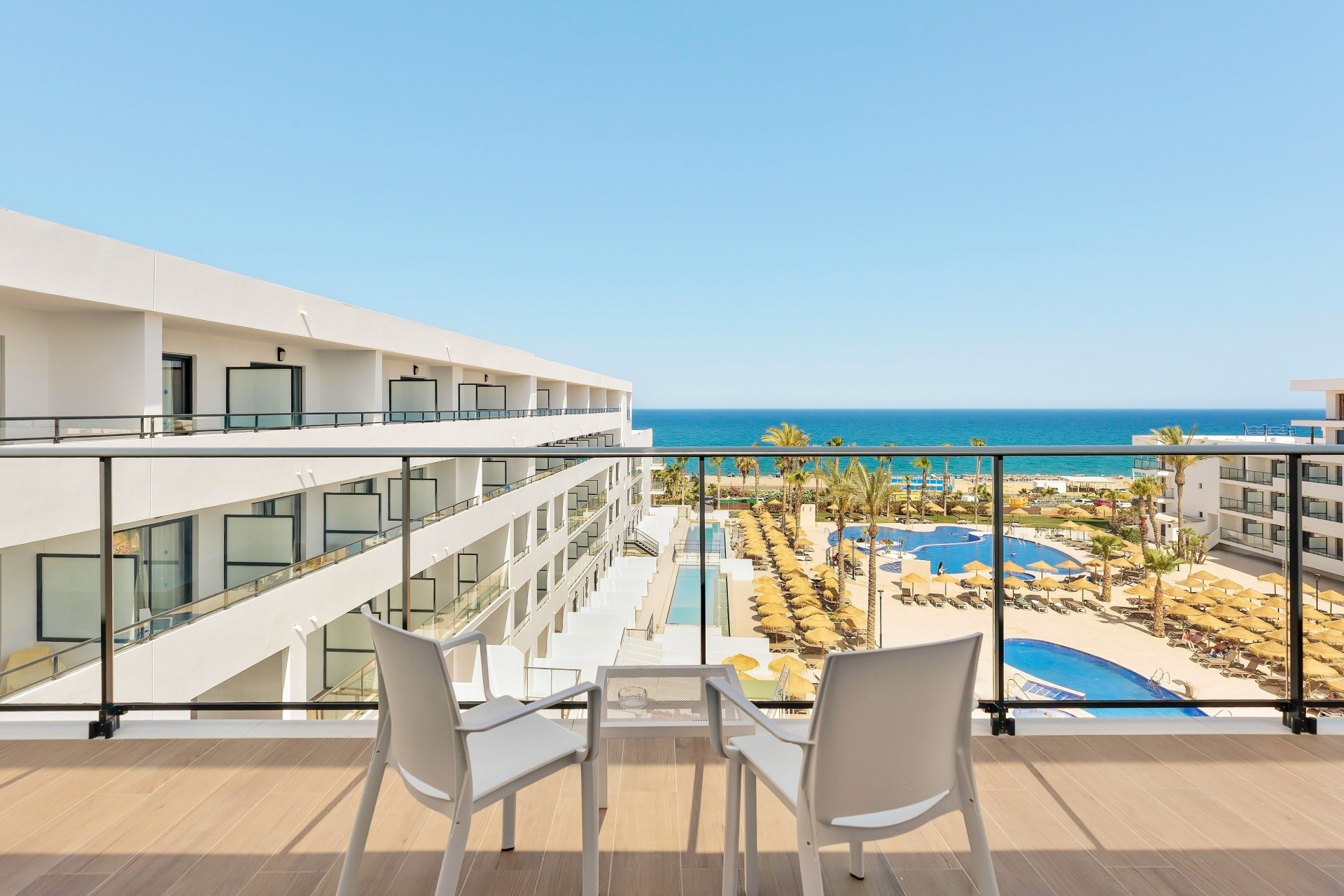 Best Oasis Tropical 16