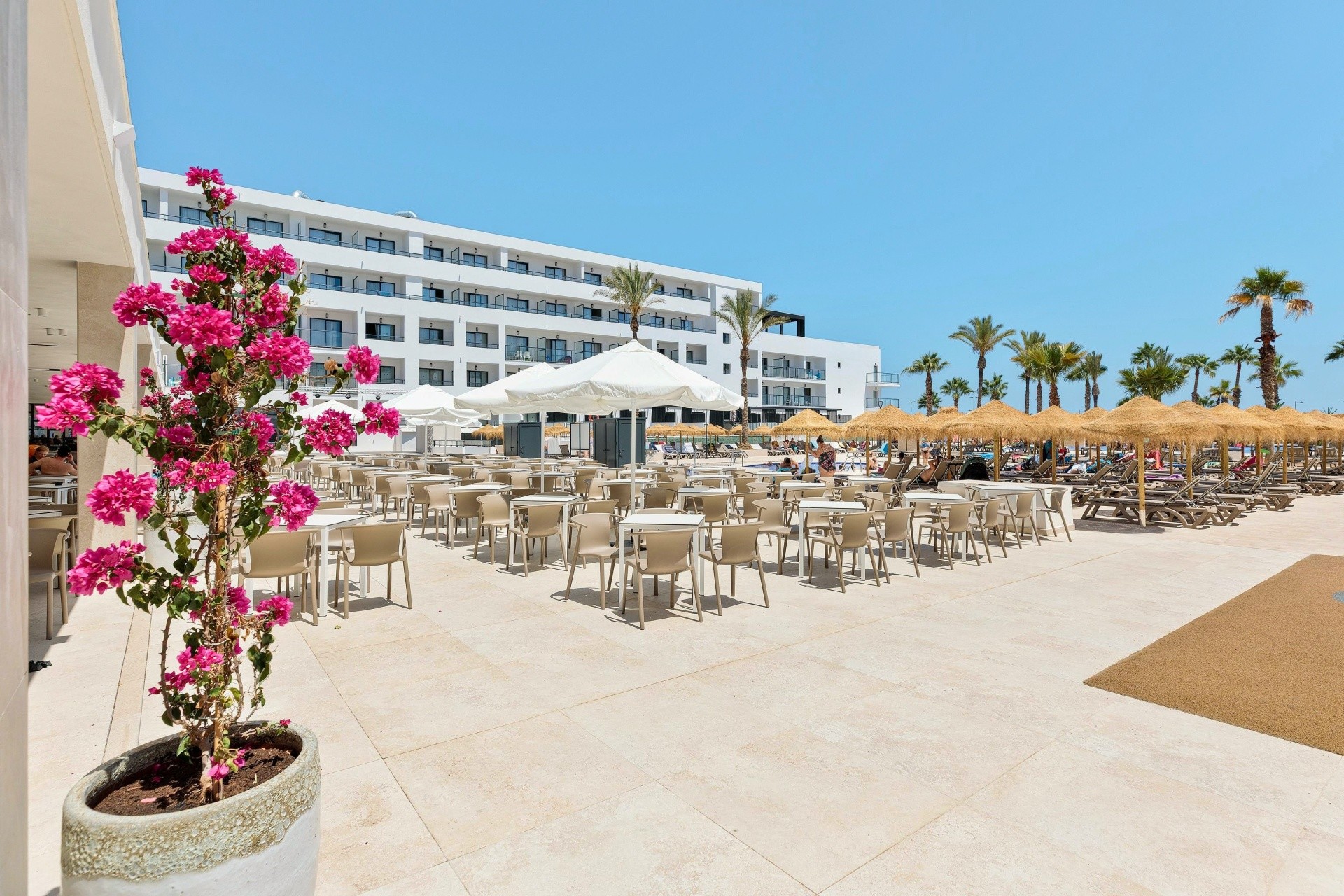 Best Oasis Tropical 29