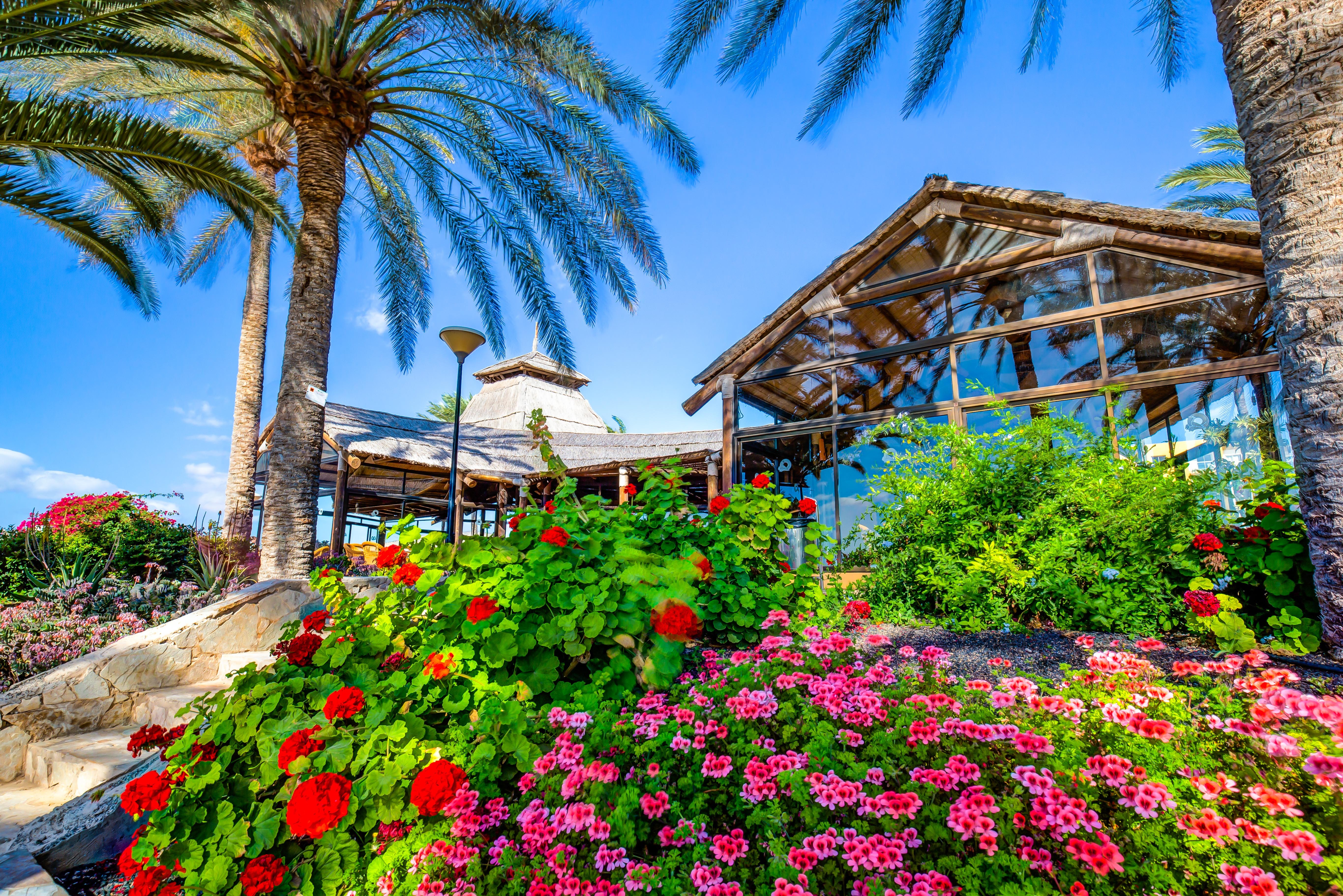 SBH Costa Calma Beach 12