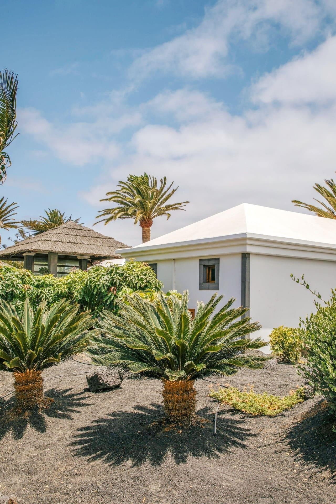 Paradisus Salinas Lanzarote 33