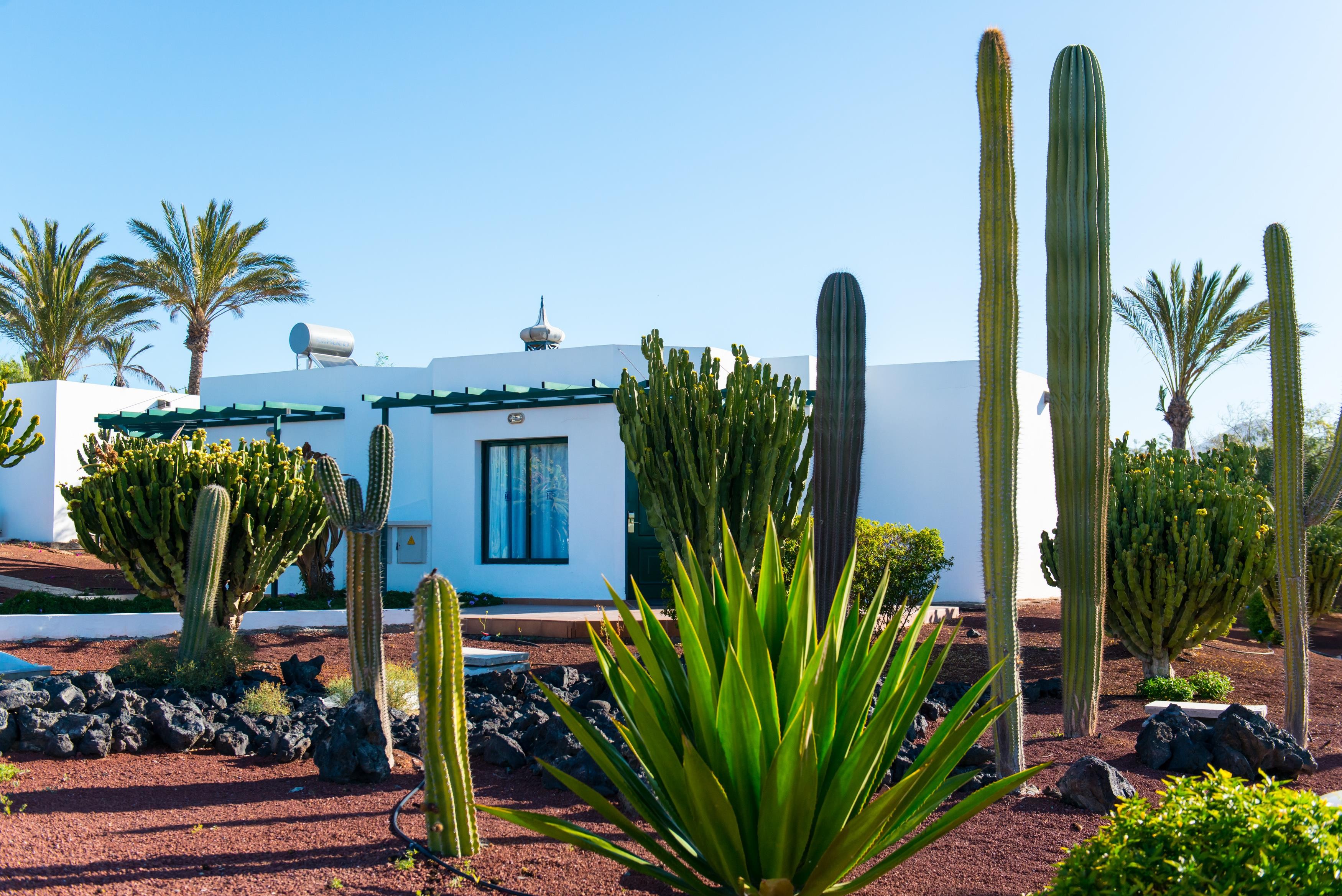 HL Club Playa Blanca 5