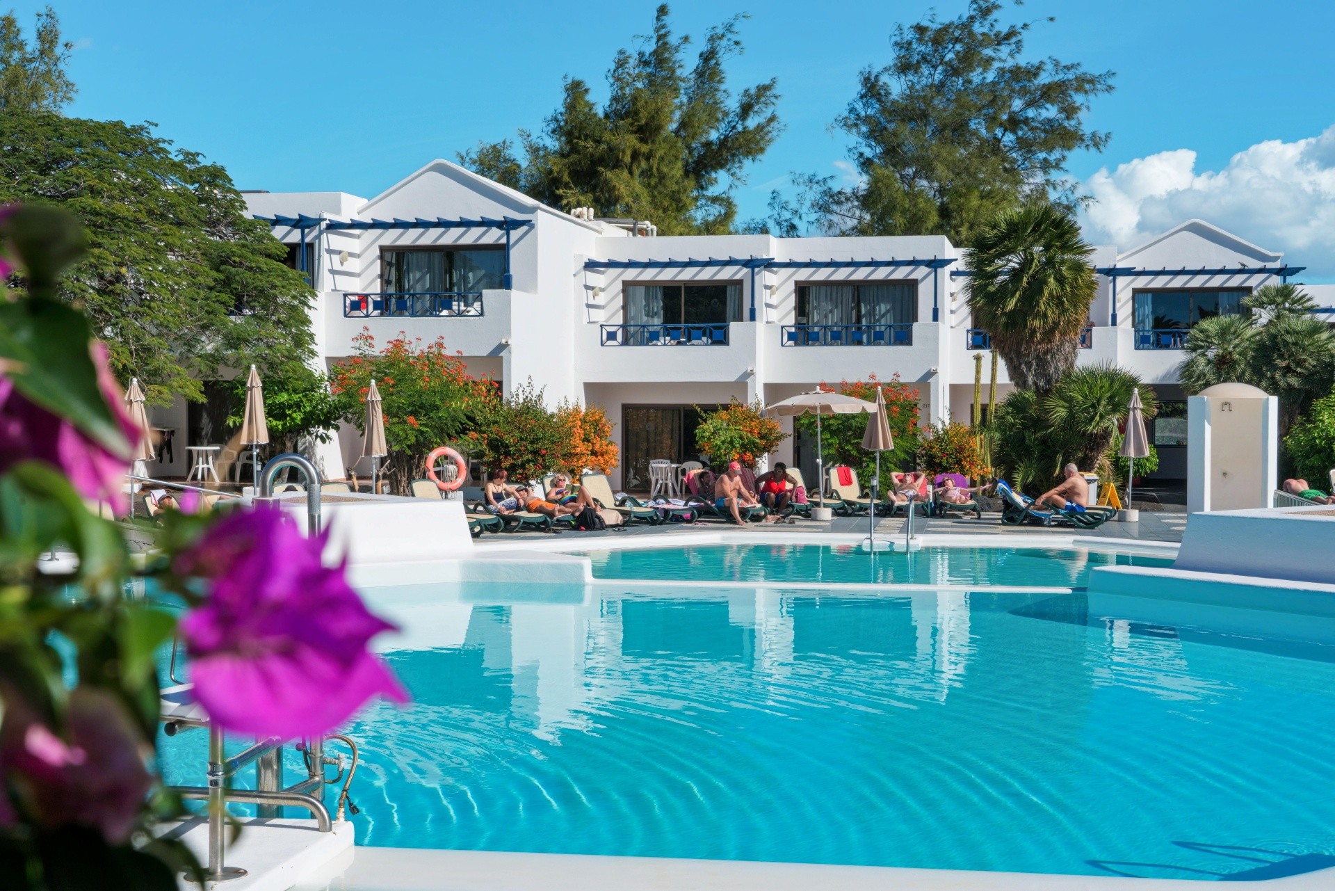 Ole Olivina Lanzarote 3