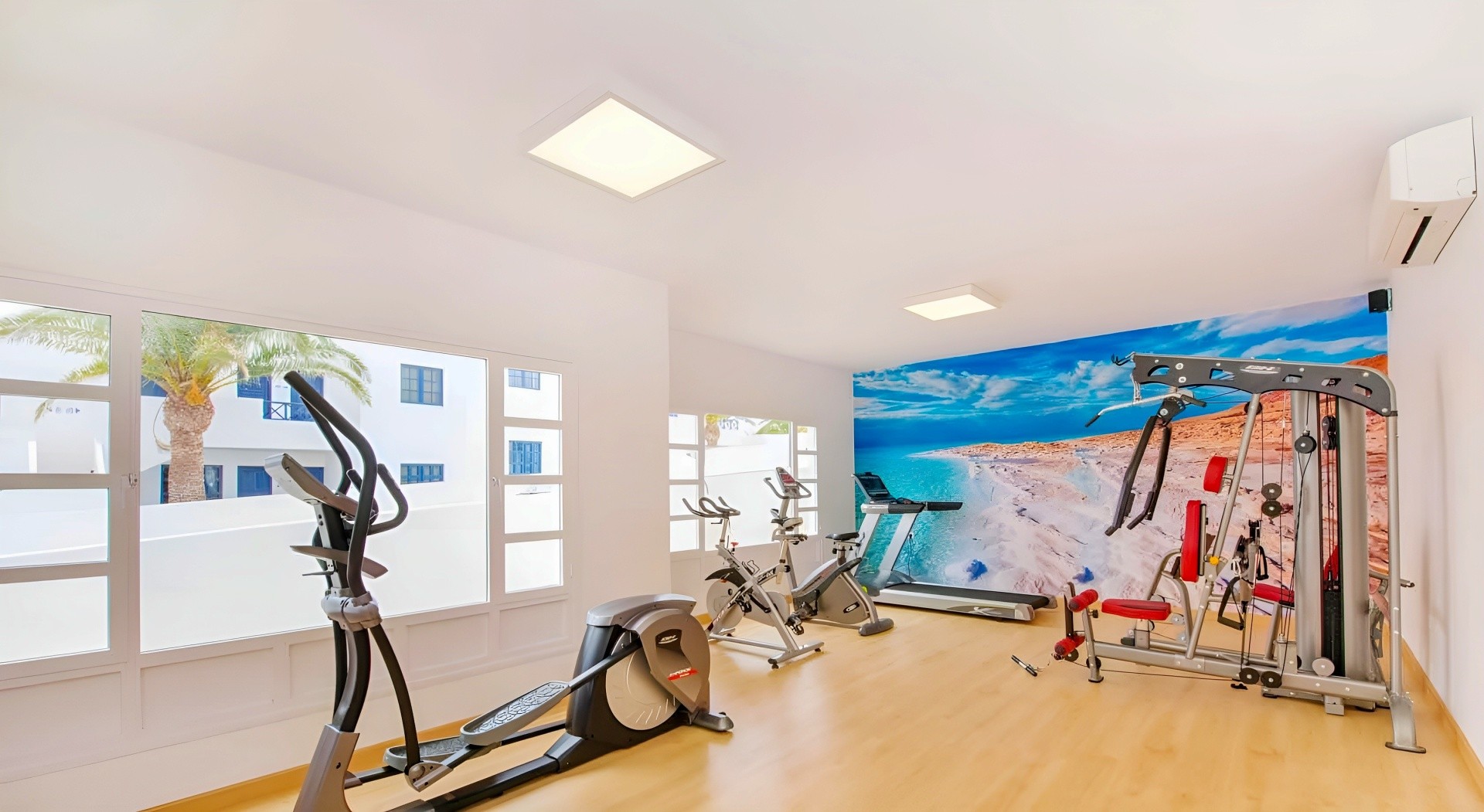 Ole Olivina Lanzarote 24