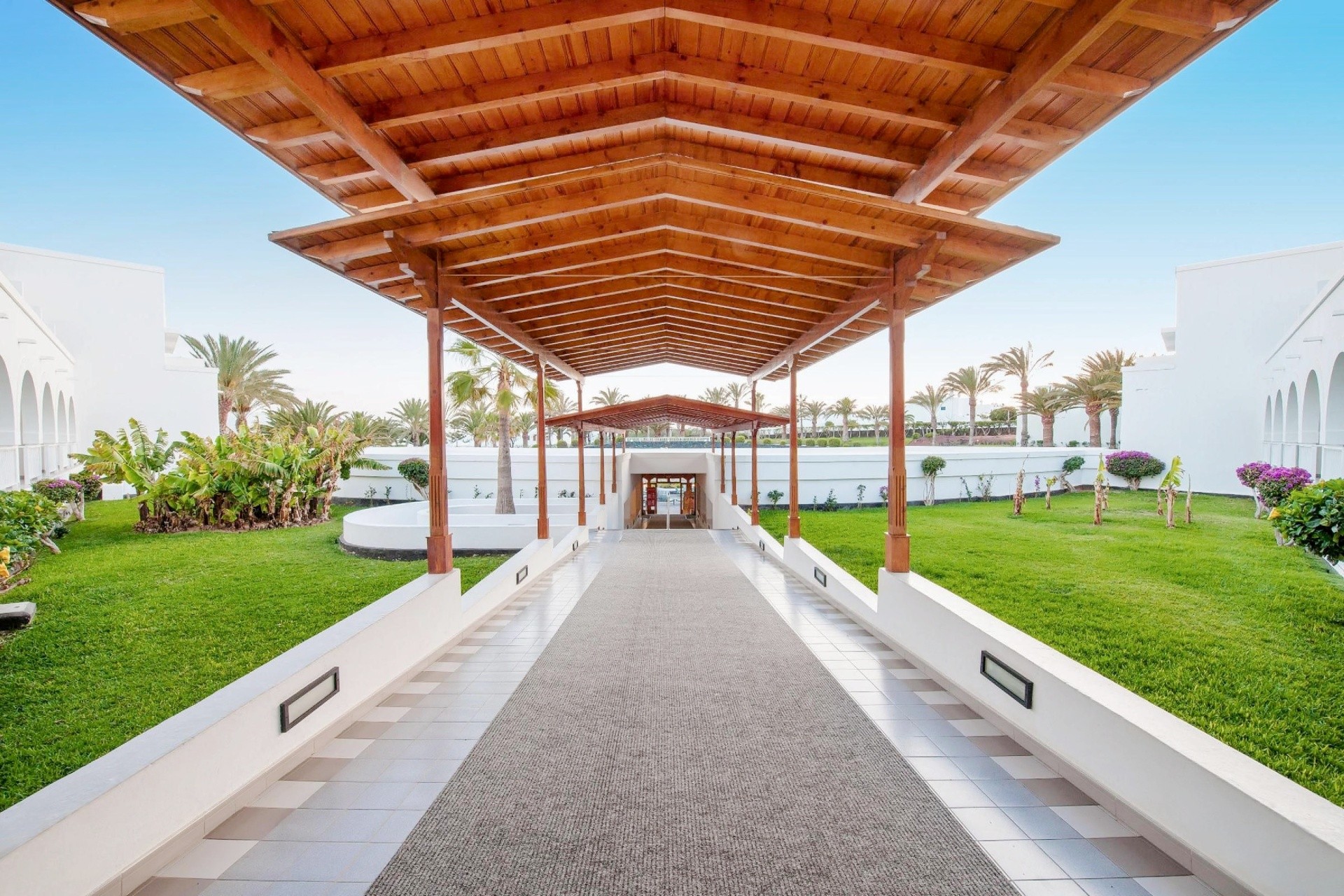 Ole Olivina Lanzarote 19