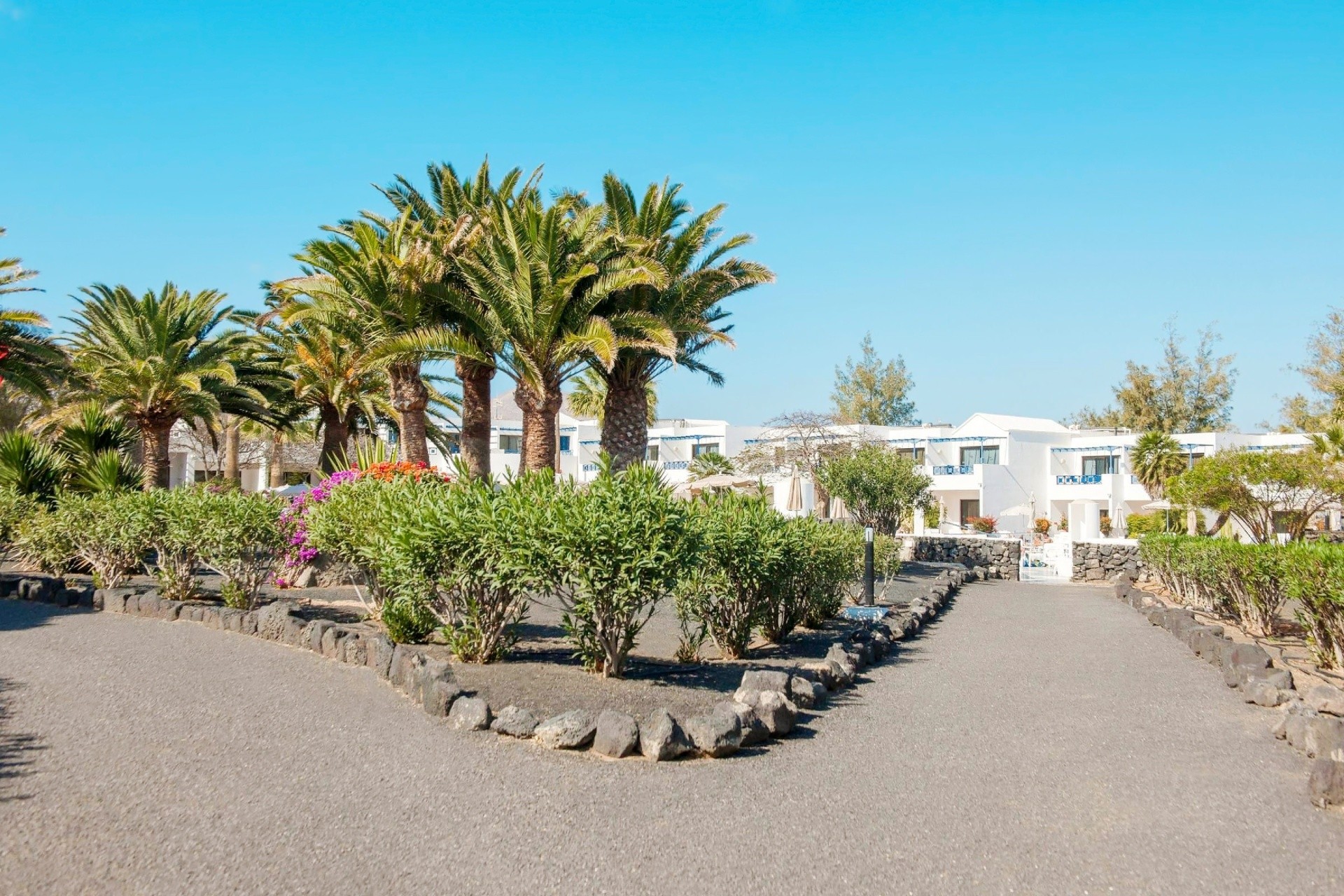 Ole Olivina Lanzarote 21