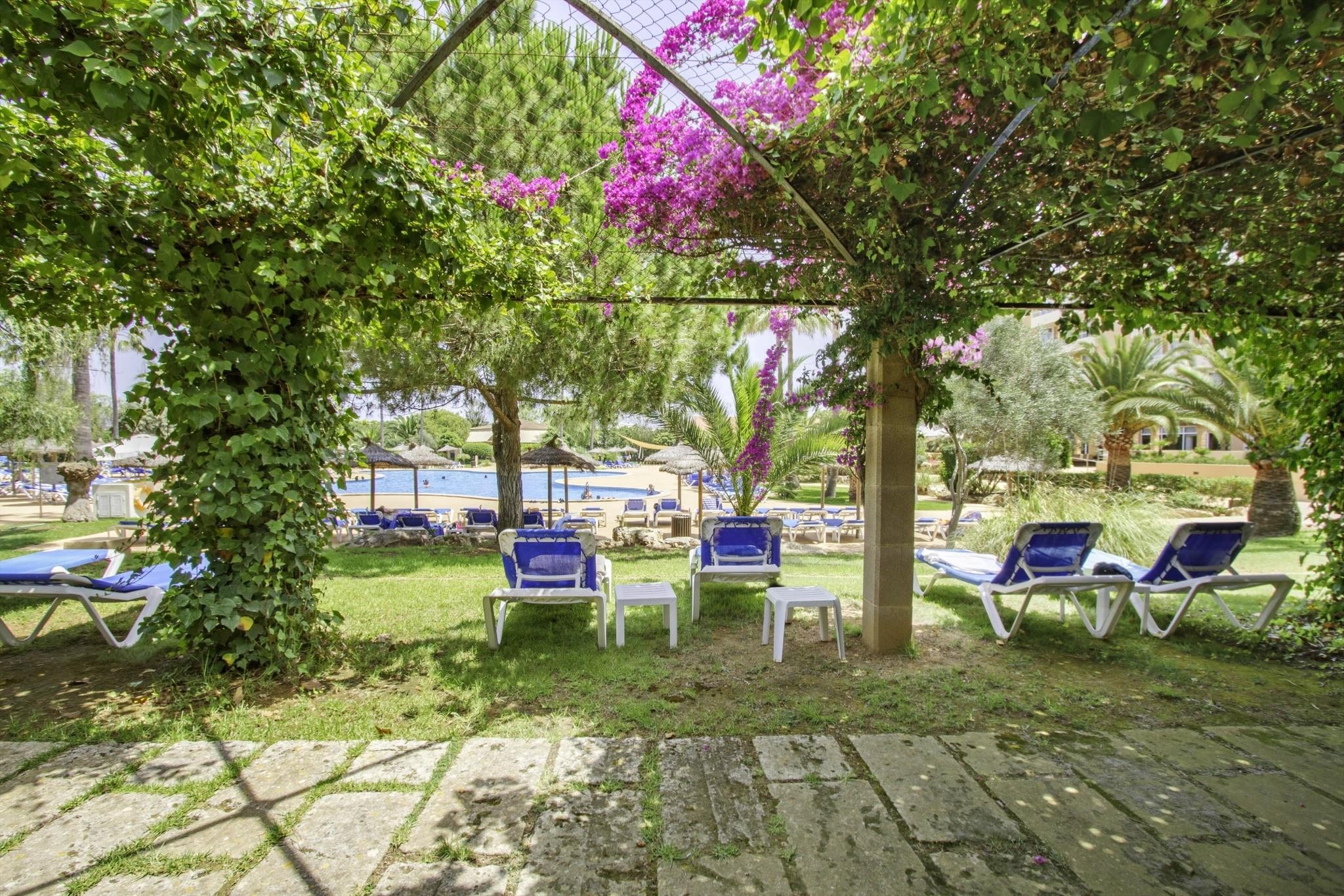 Bakour Garbi Cala Millor 19