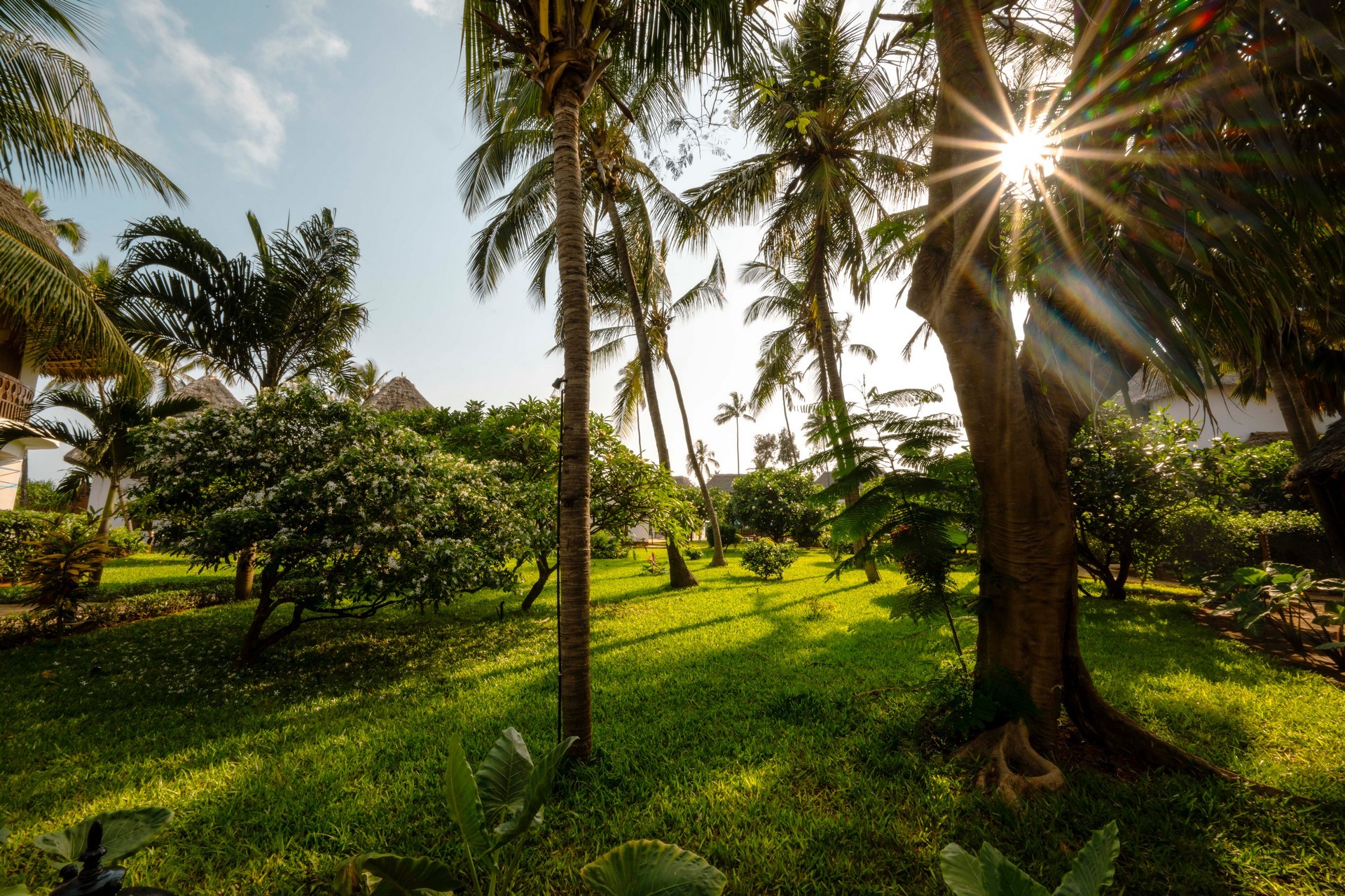 Nungwi Beach Resort by Turaco 41