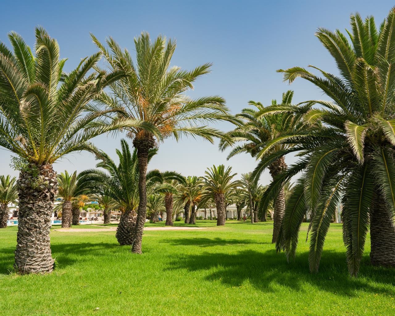 The Mirage Resort & Spa