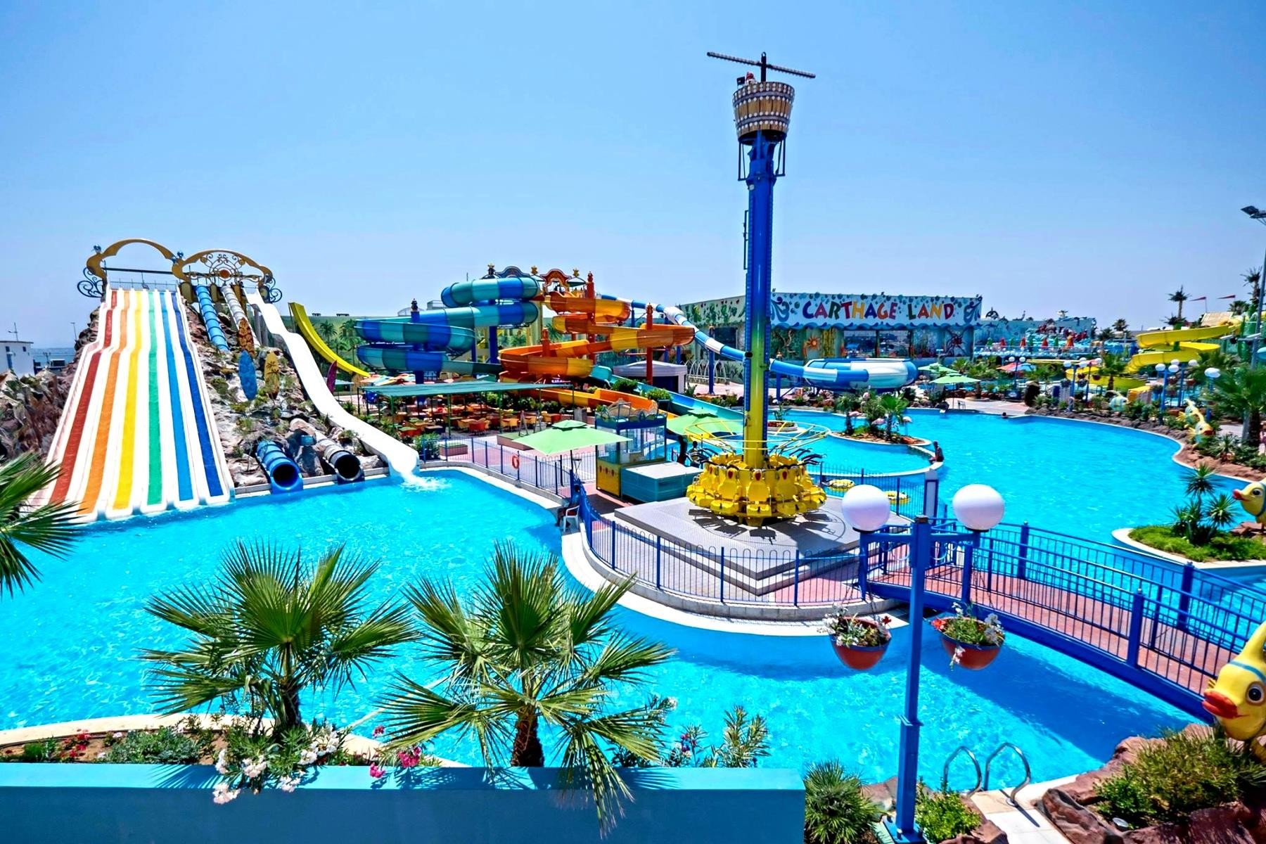 MEDINA BELISAIRE & THALASSO