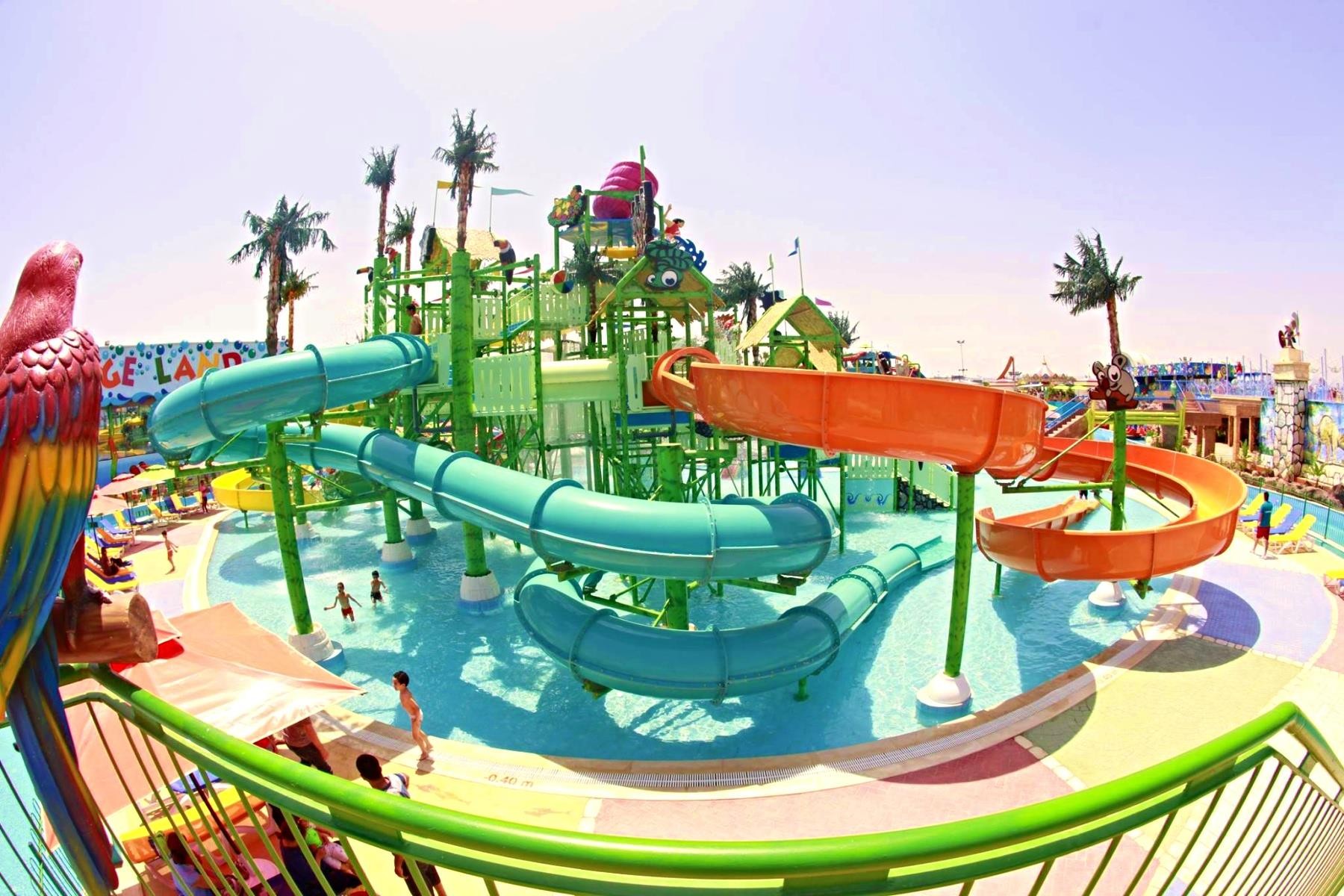 MEDINA BELISAIRE & THALASSO