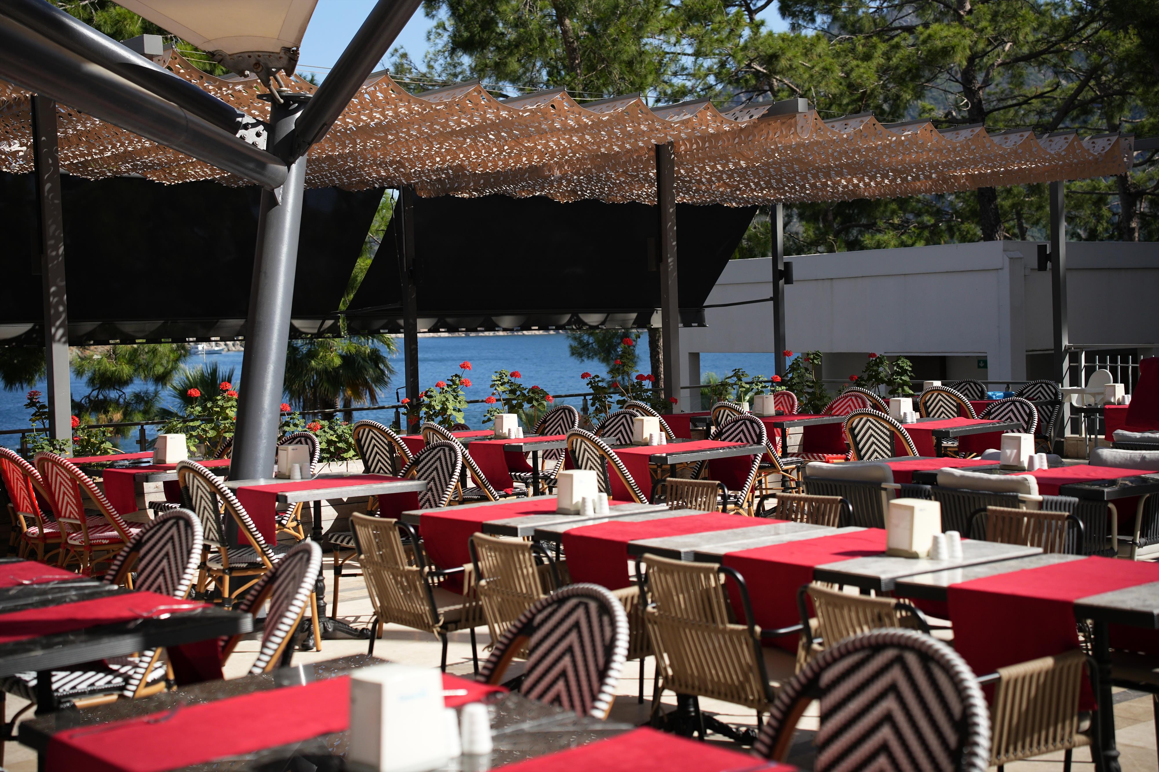 ORKA LOTUS BEACH