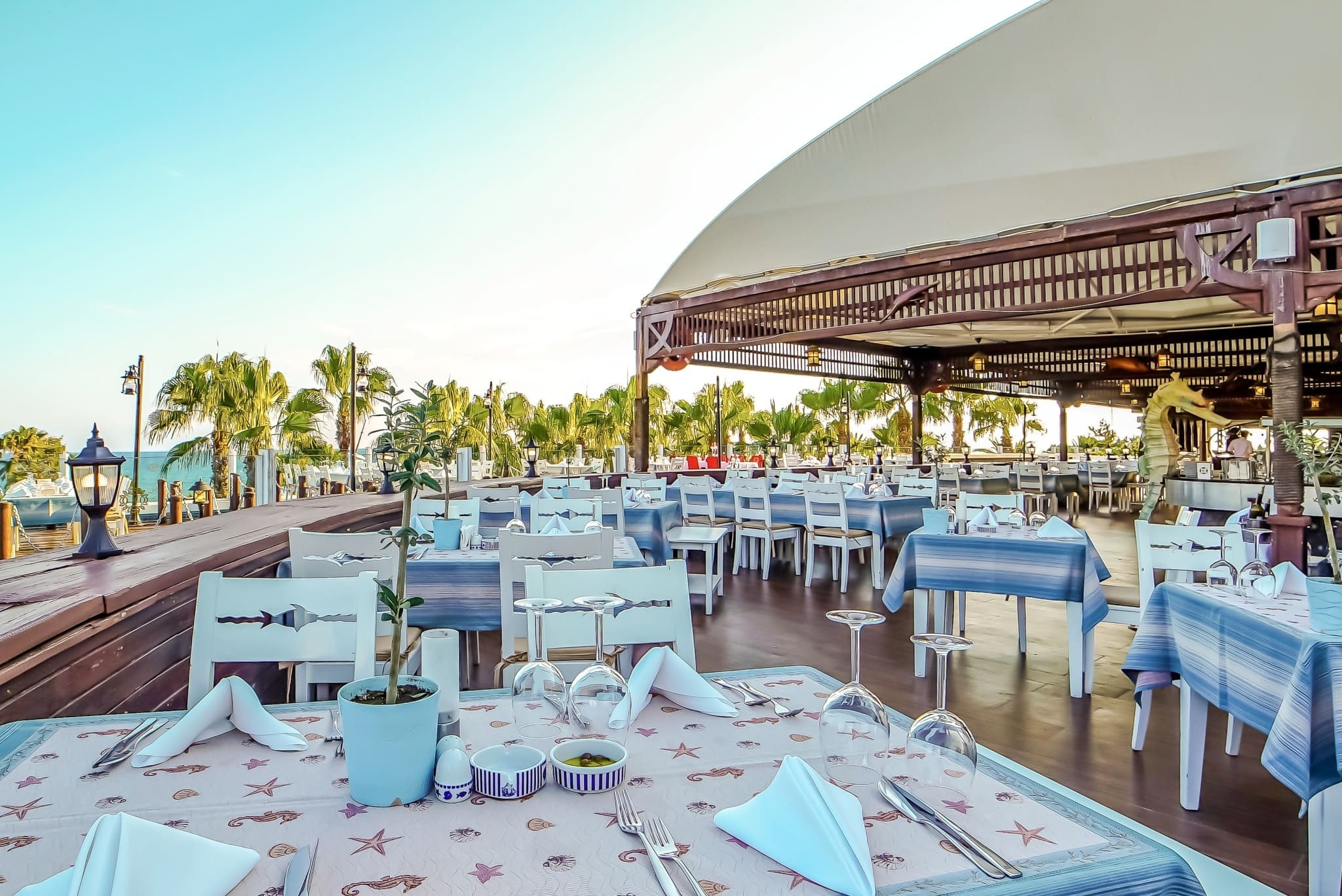 Kamelya Aishen Club 31