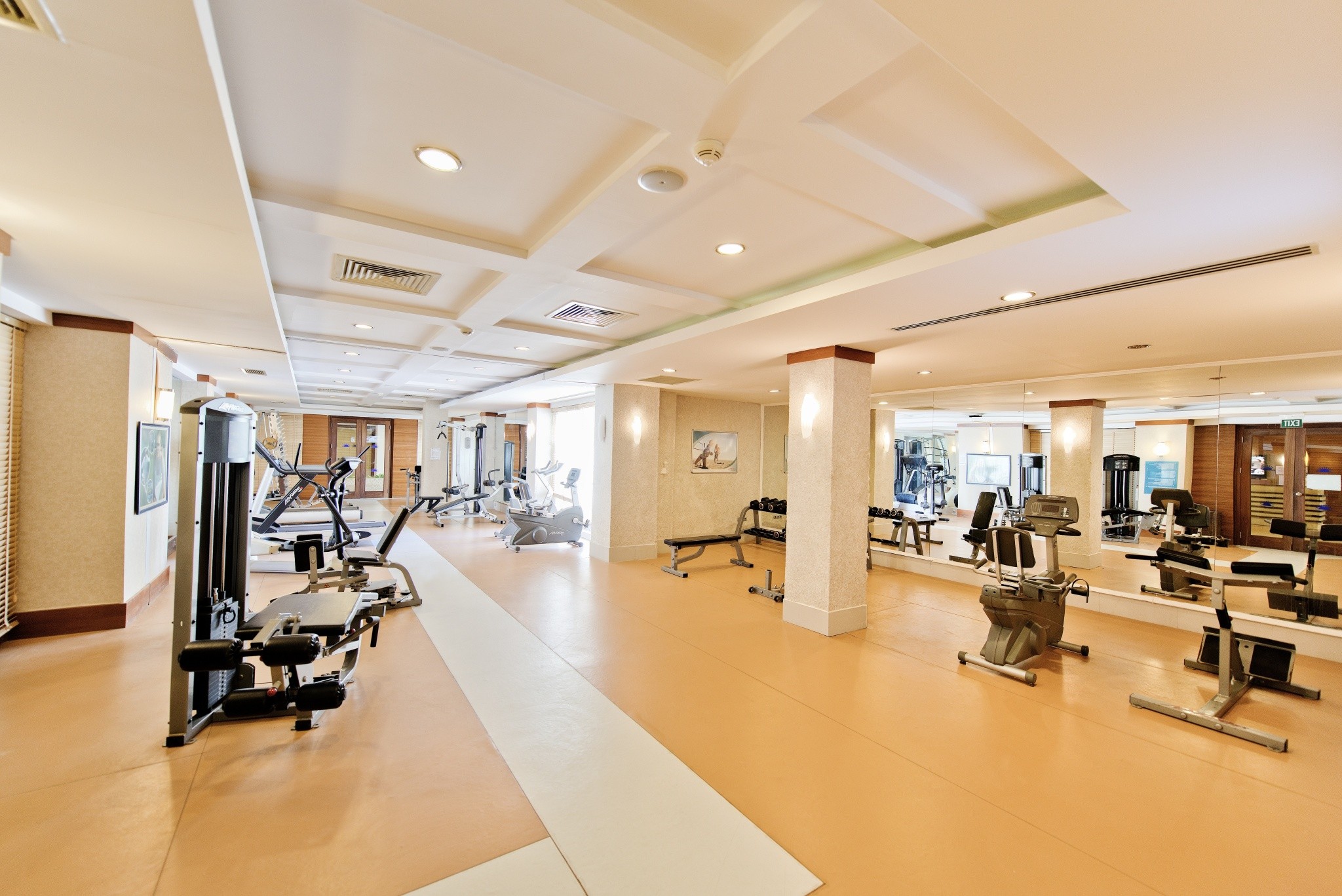 Kamelya Aishen Club 41