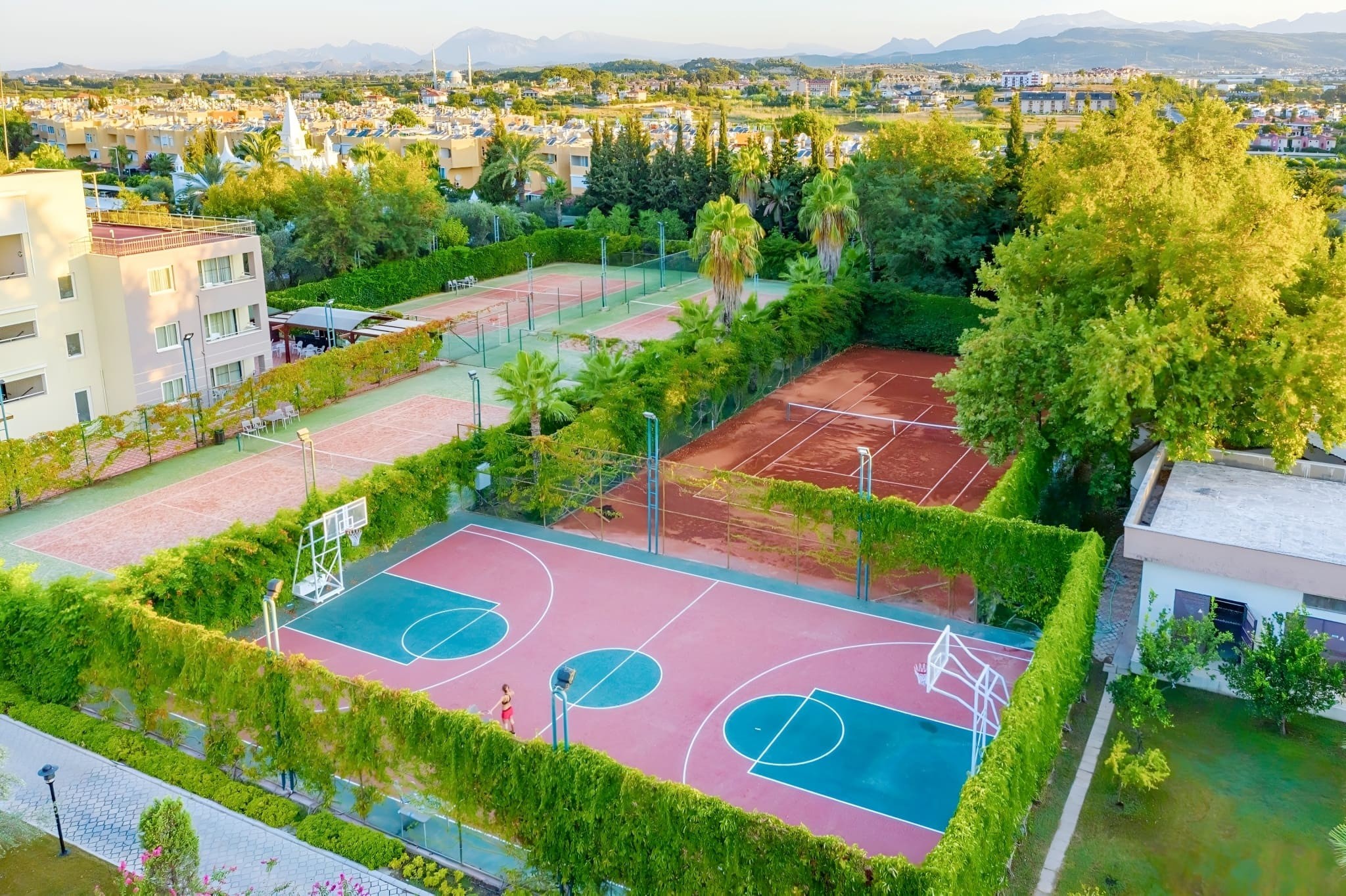 Kamelya Aishen Club 43