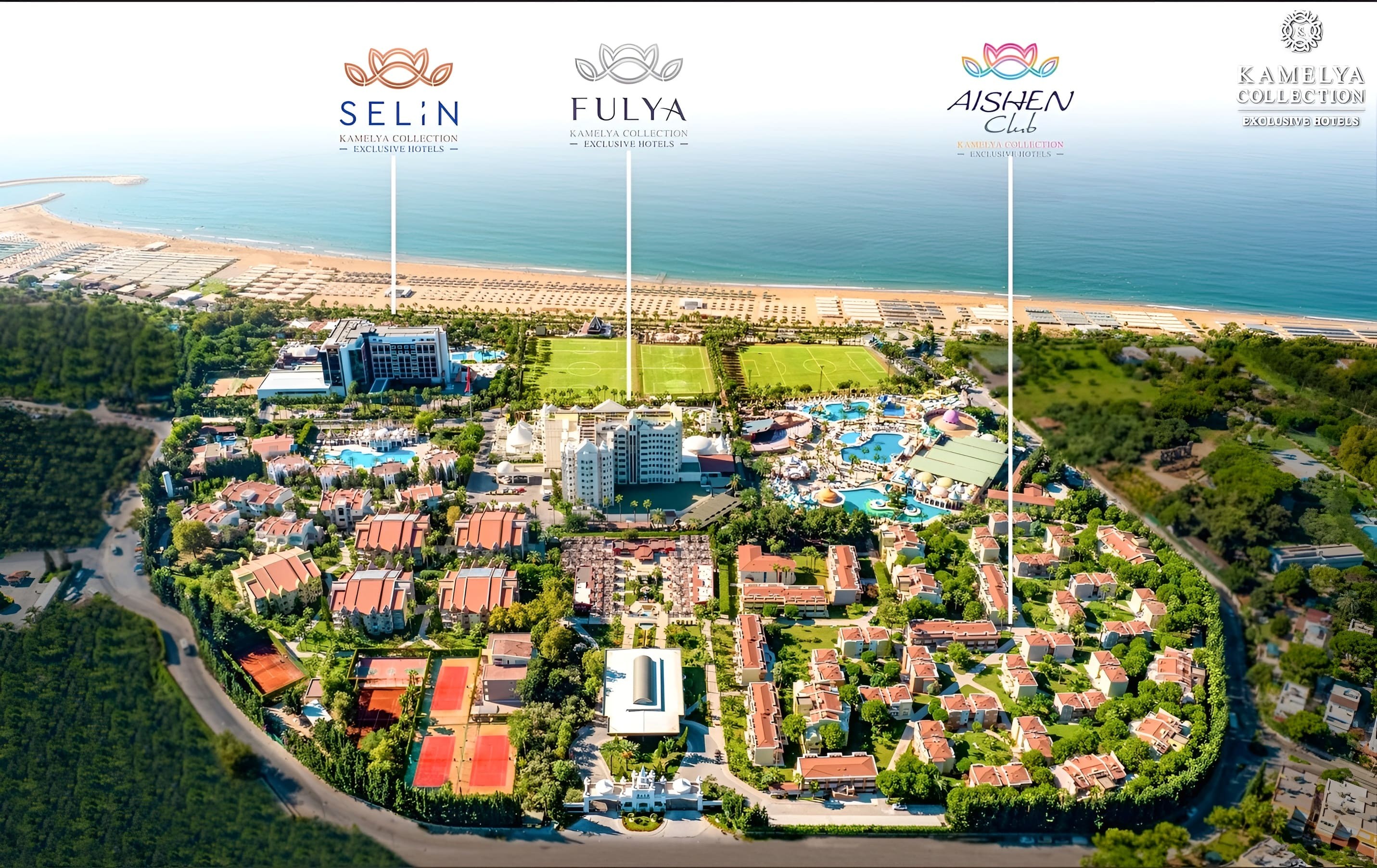 Kamelya Aishen Club 49