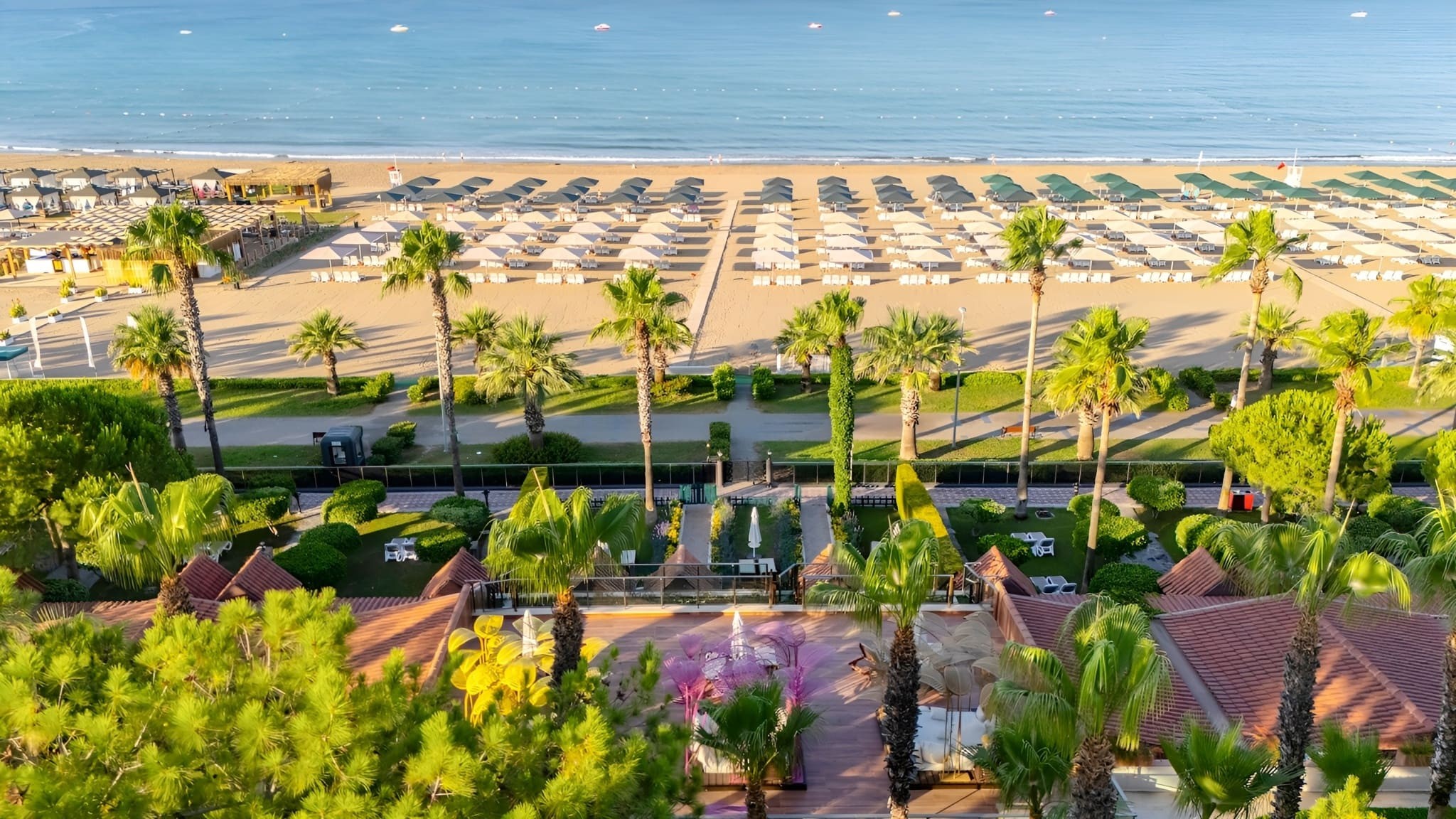 Kamelya Aishen Club 16