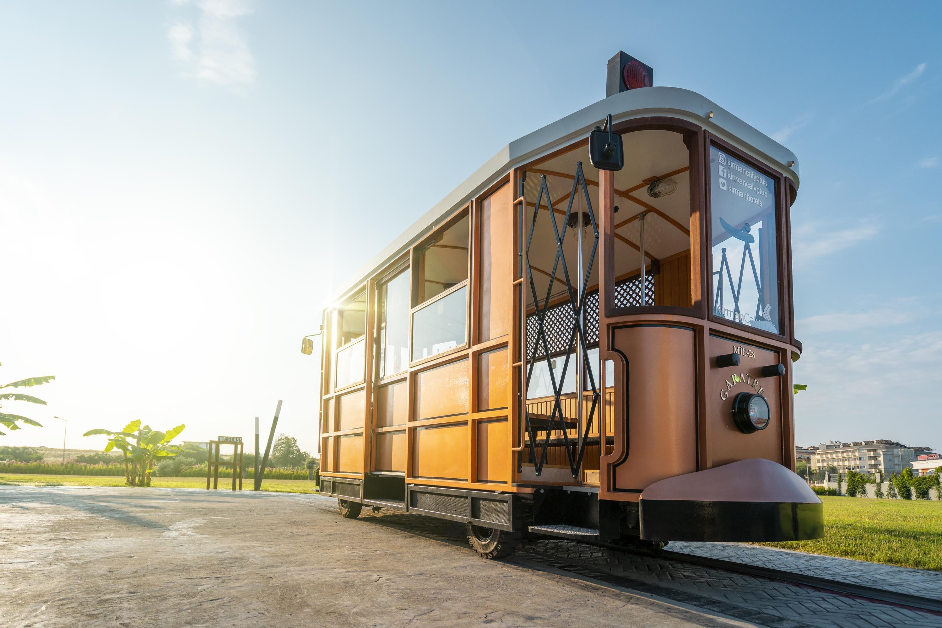 Calyptus Kirman Premium 11