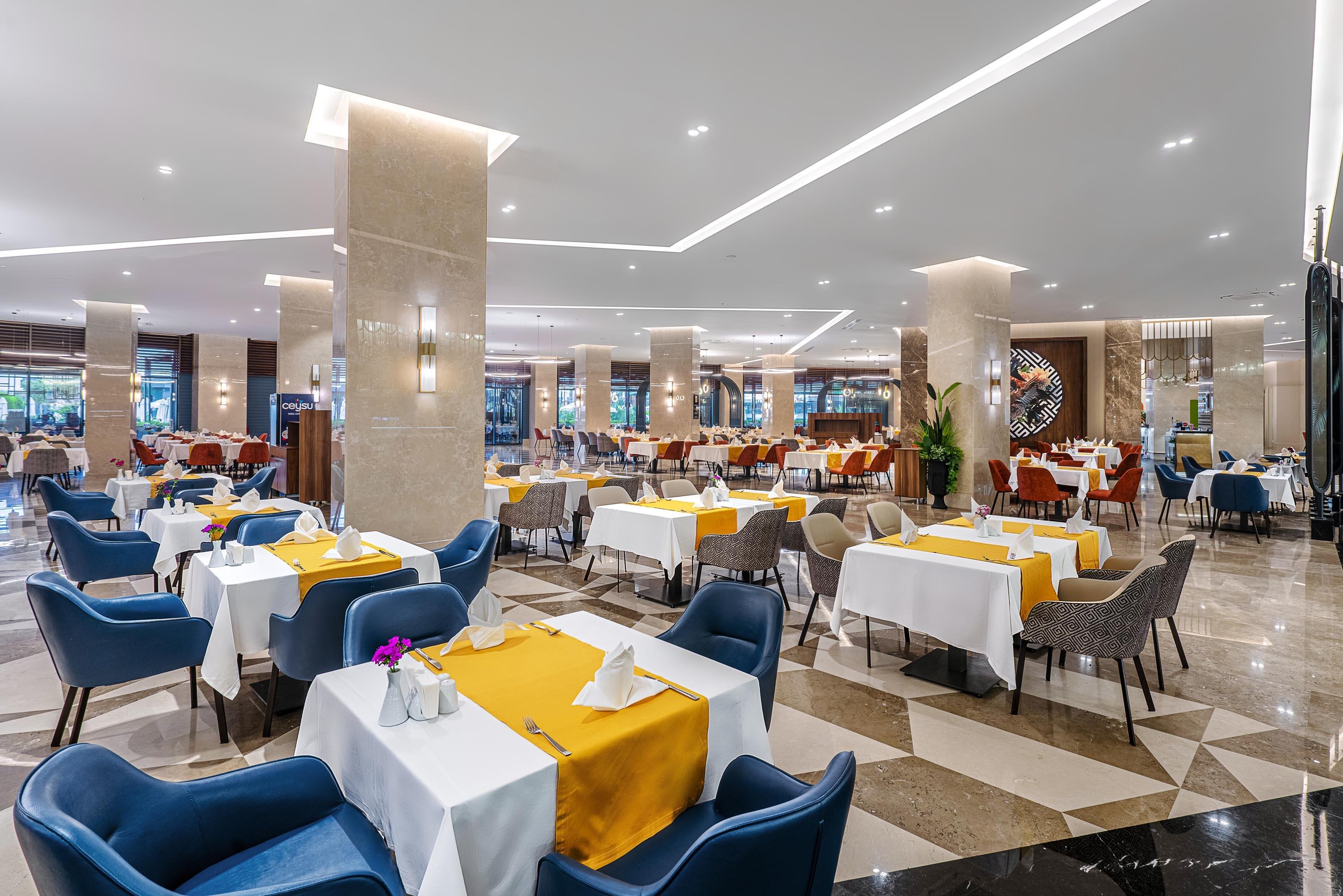 Calyptus Kirman Premium 12