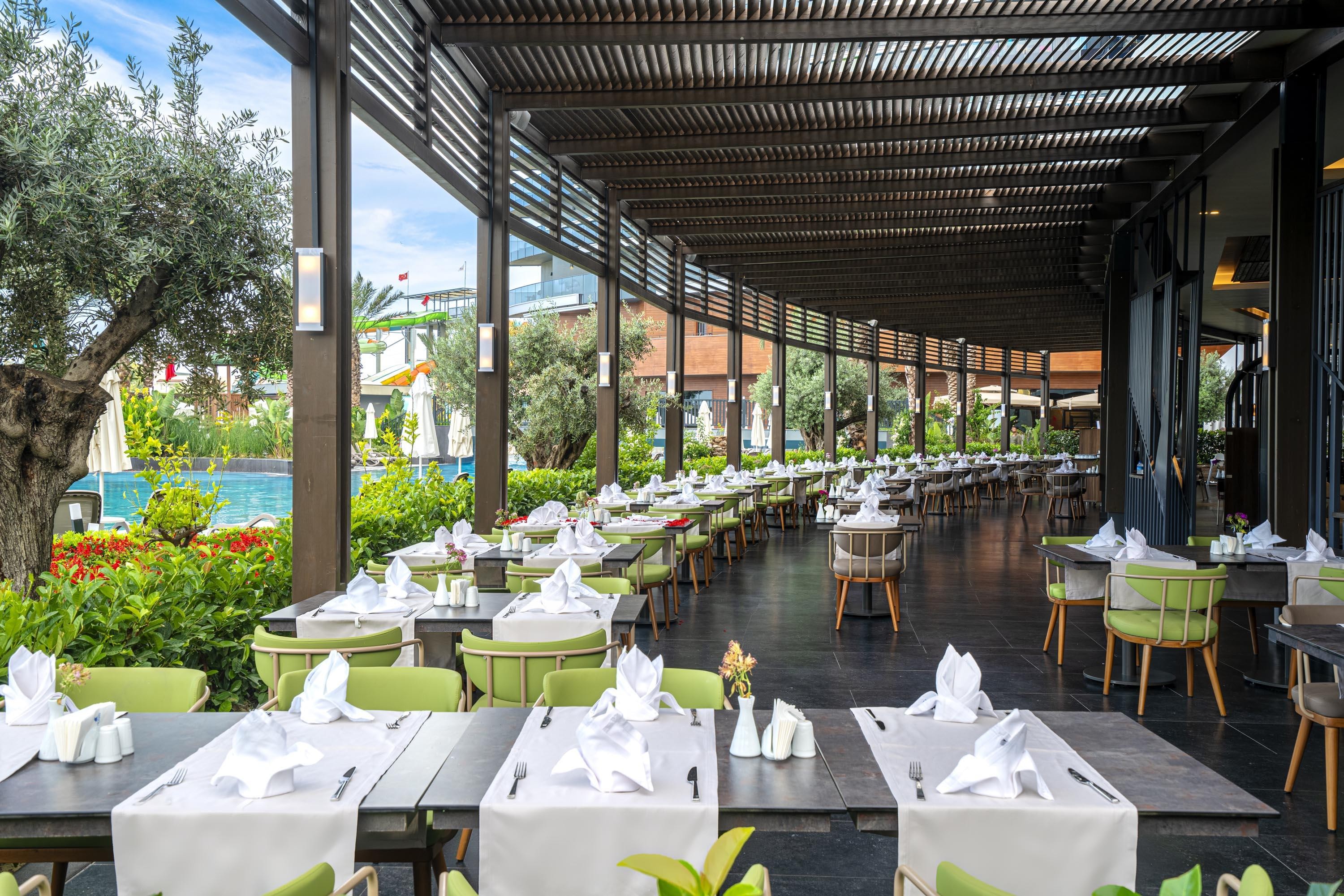 Calyptus Kirman Premium 14