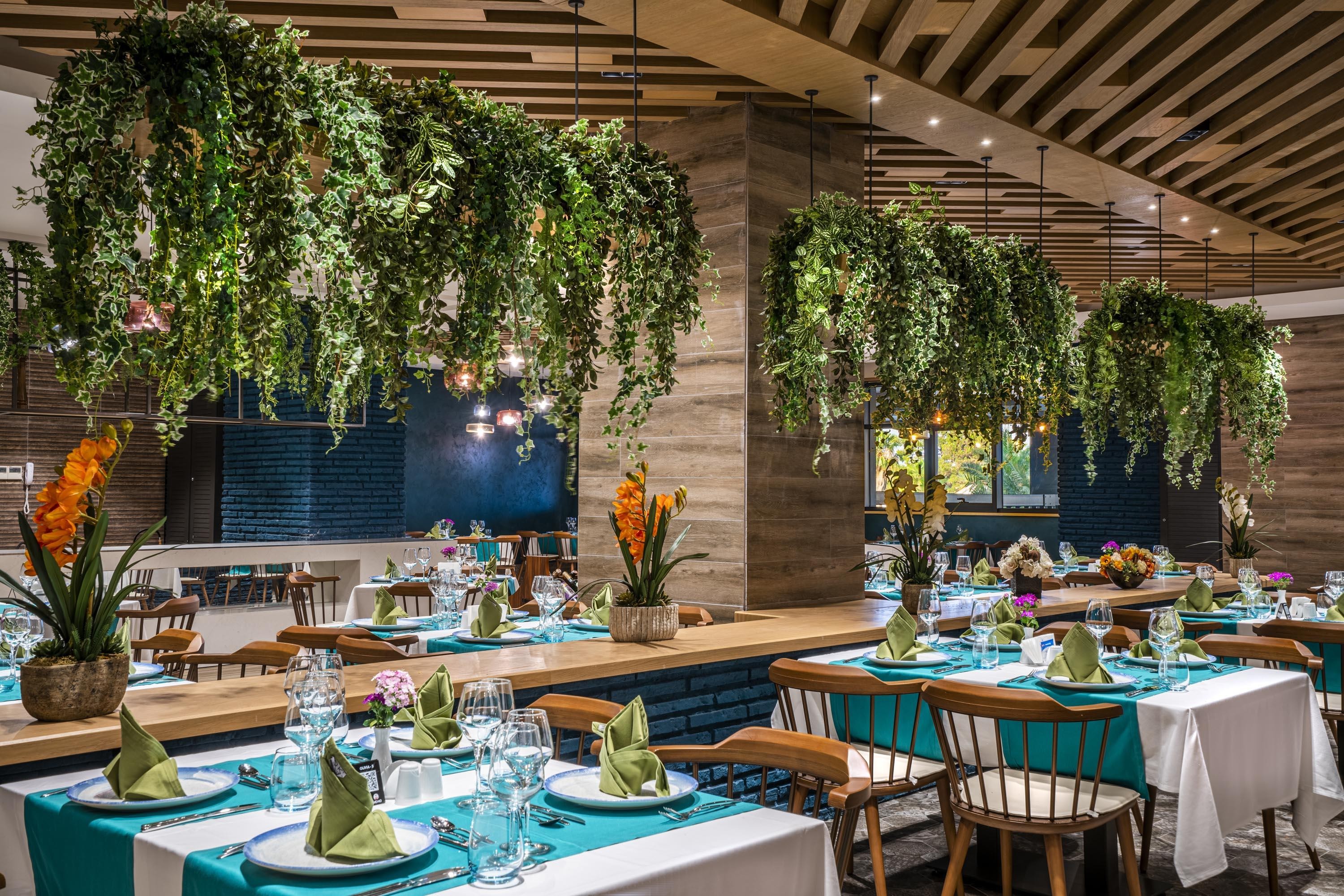 Calyptus Kirman Premium 15