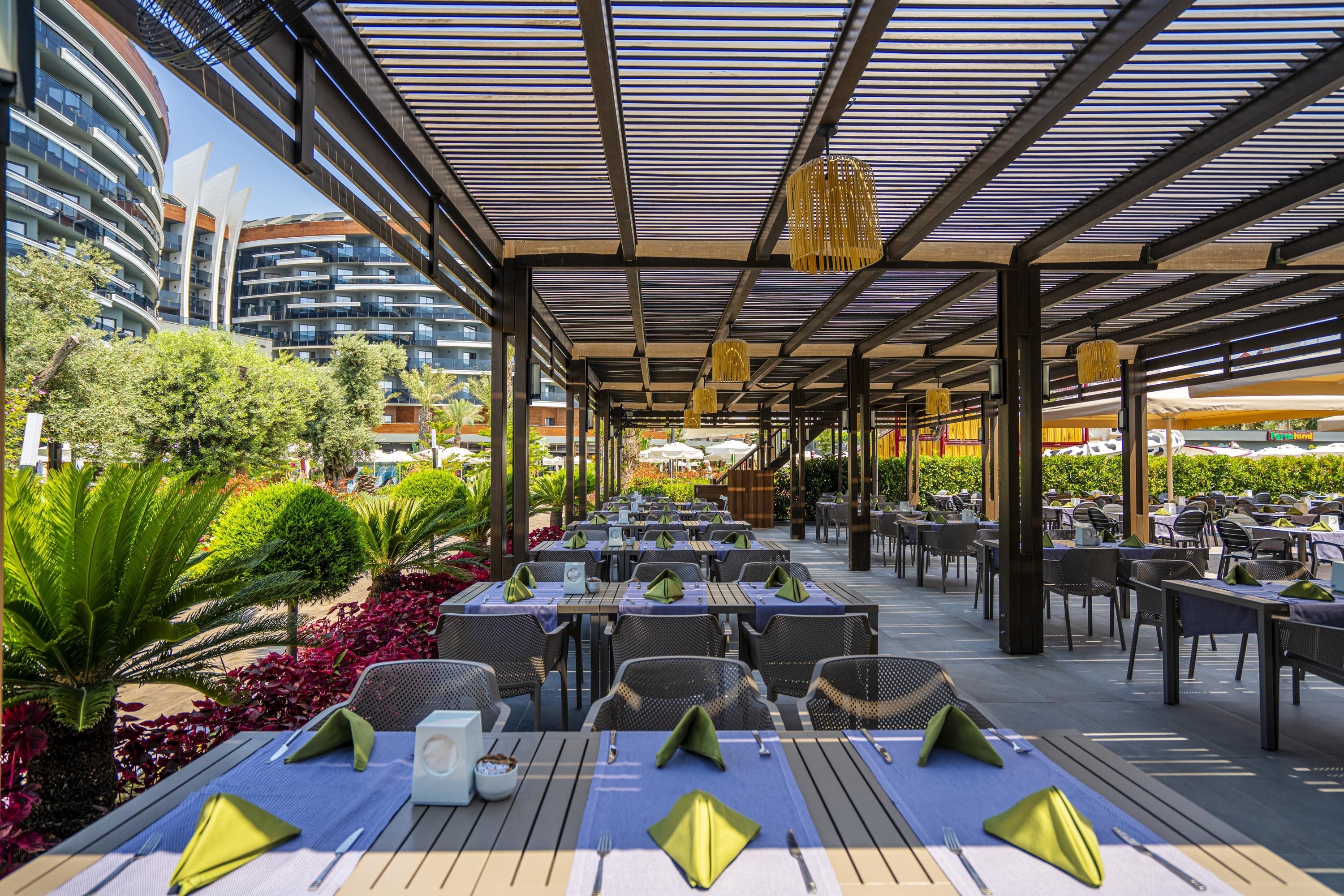 Calyptus Kirman Premium 17