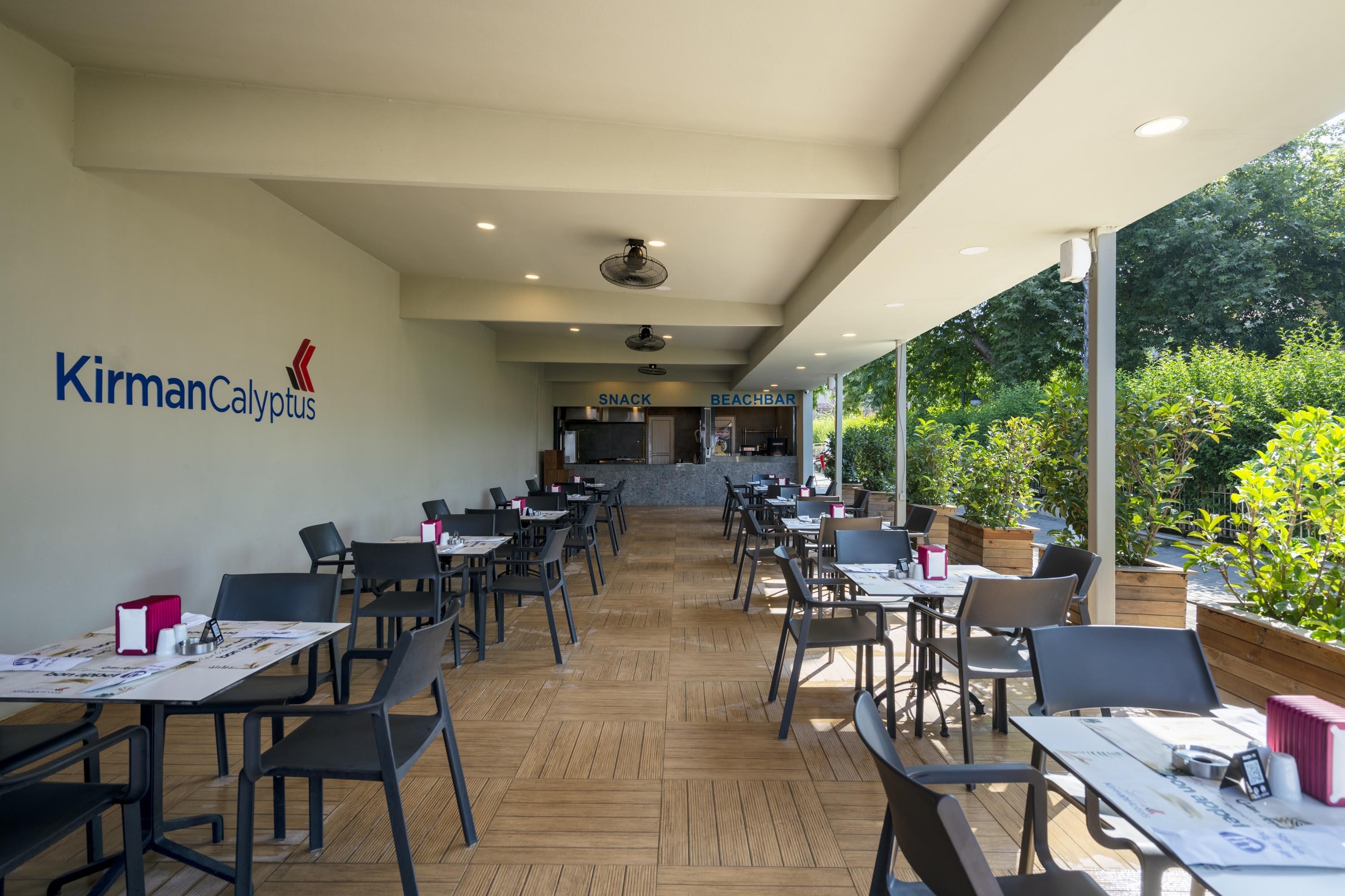 Calyptus Kirman Premium 18