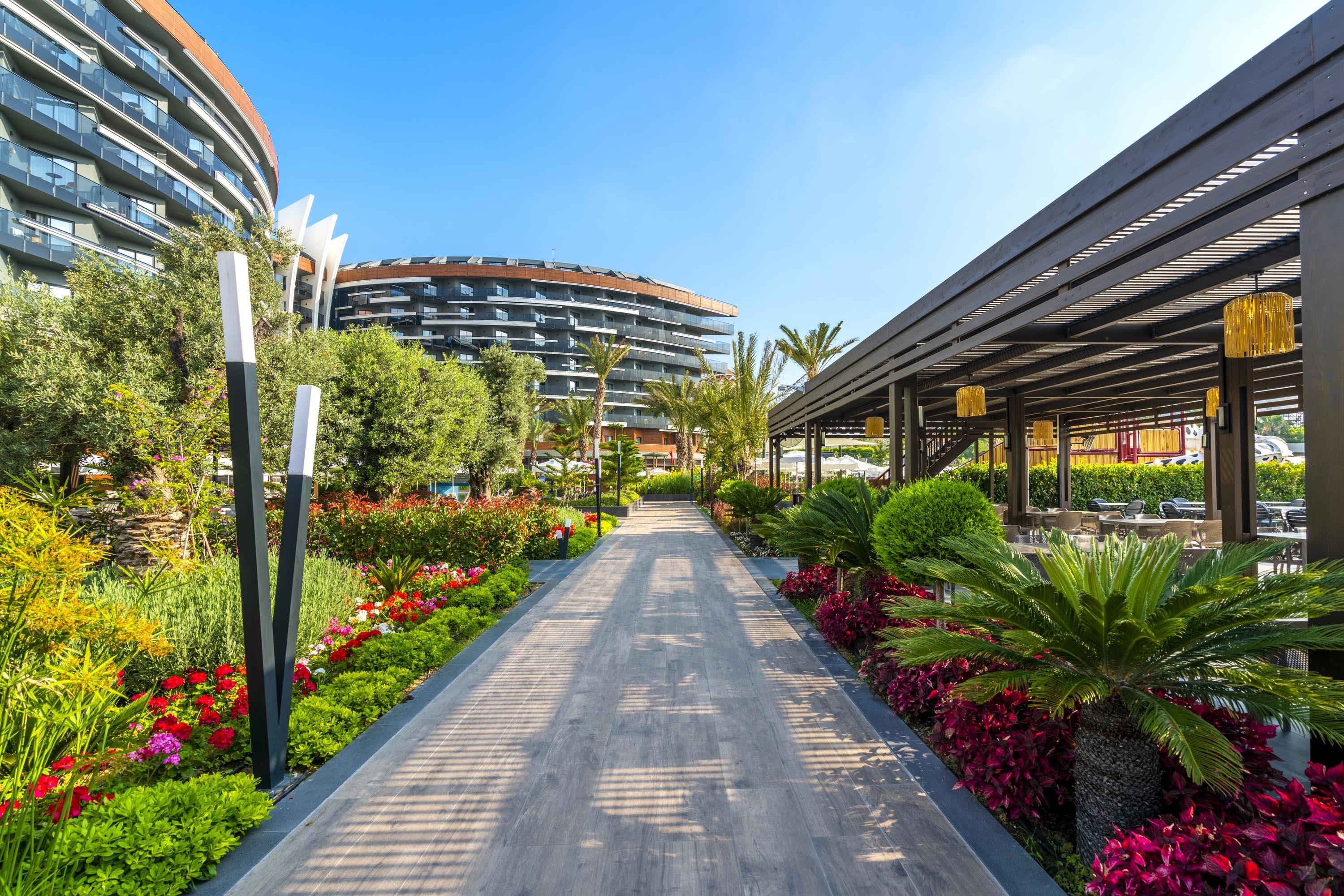 Calyptus Kirman Premium 19