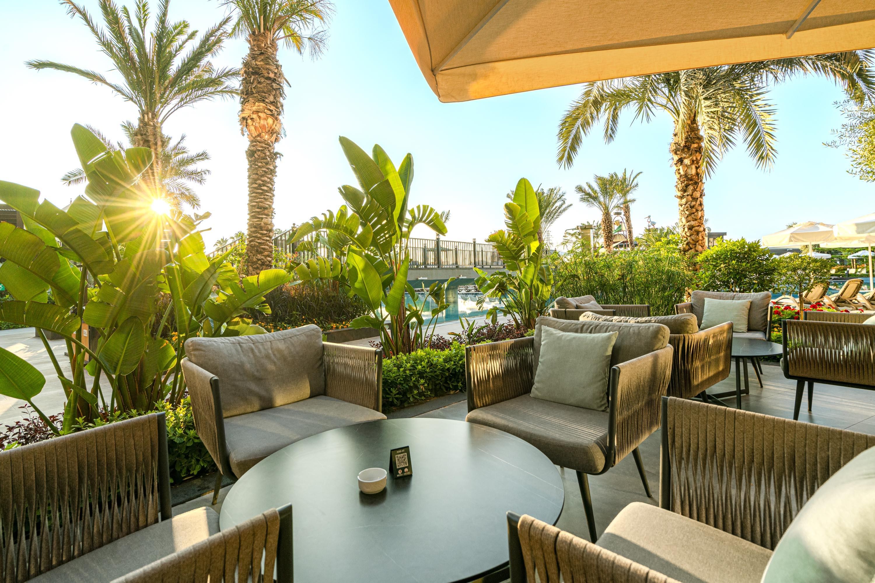 Calyptus Kirman Premium 22