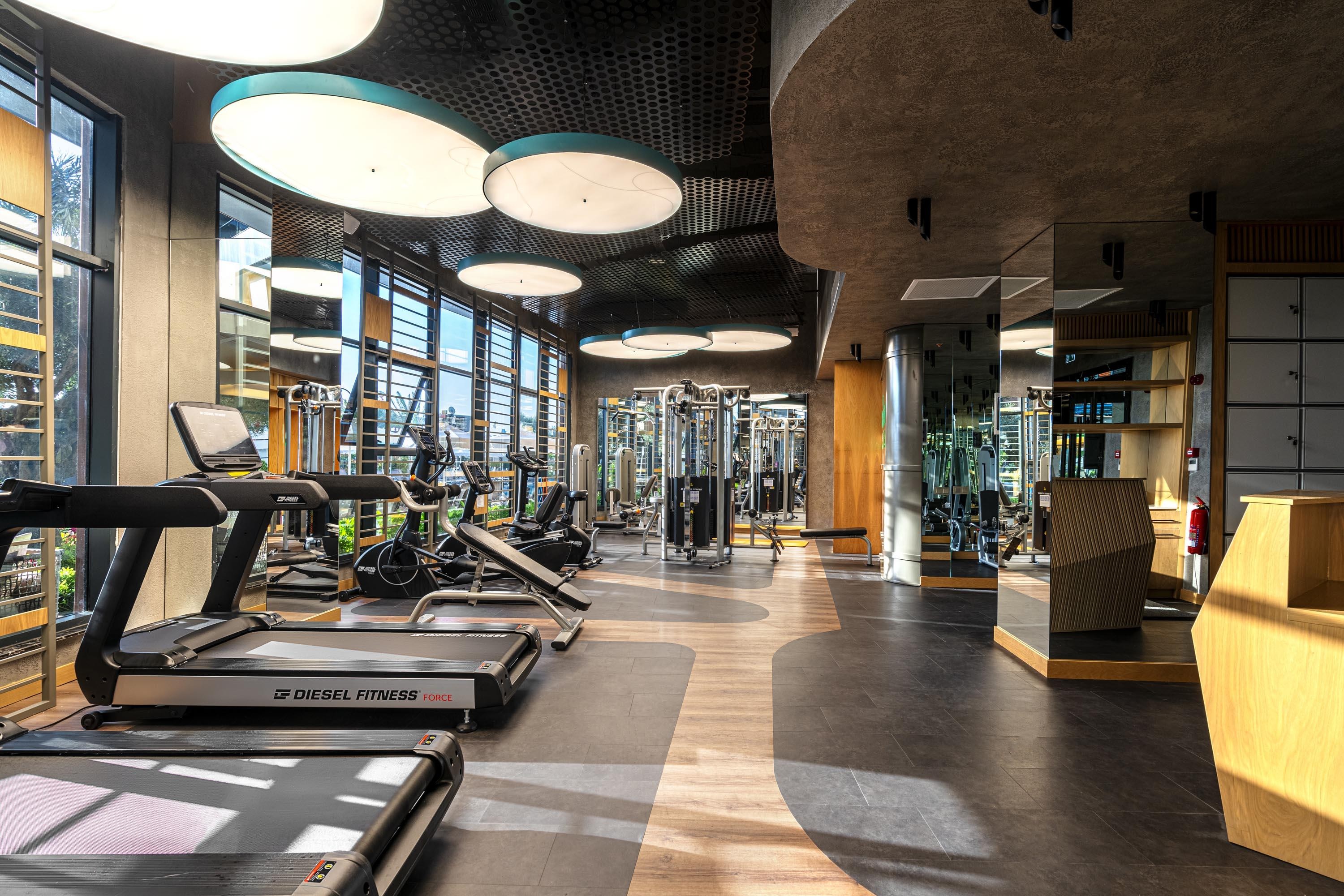 Calyptus Kirman Premium 38