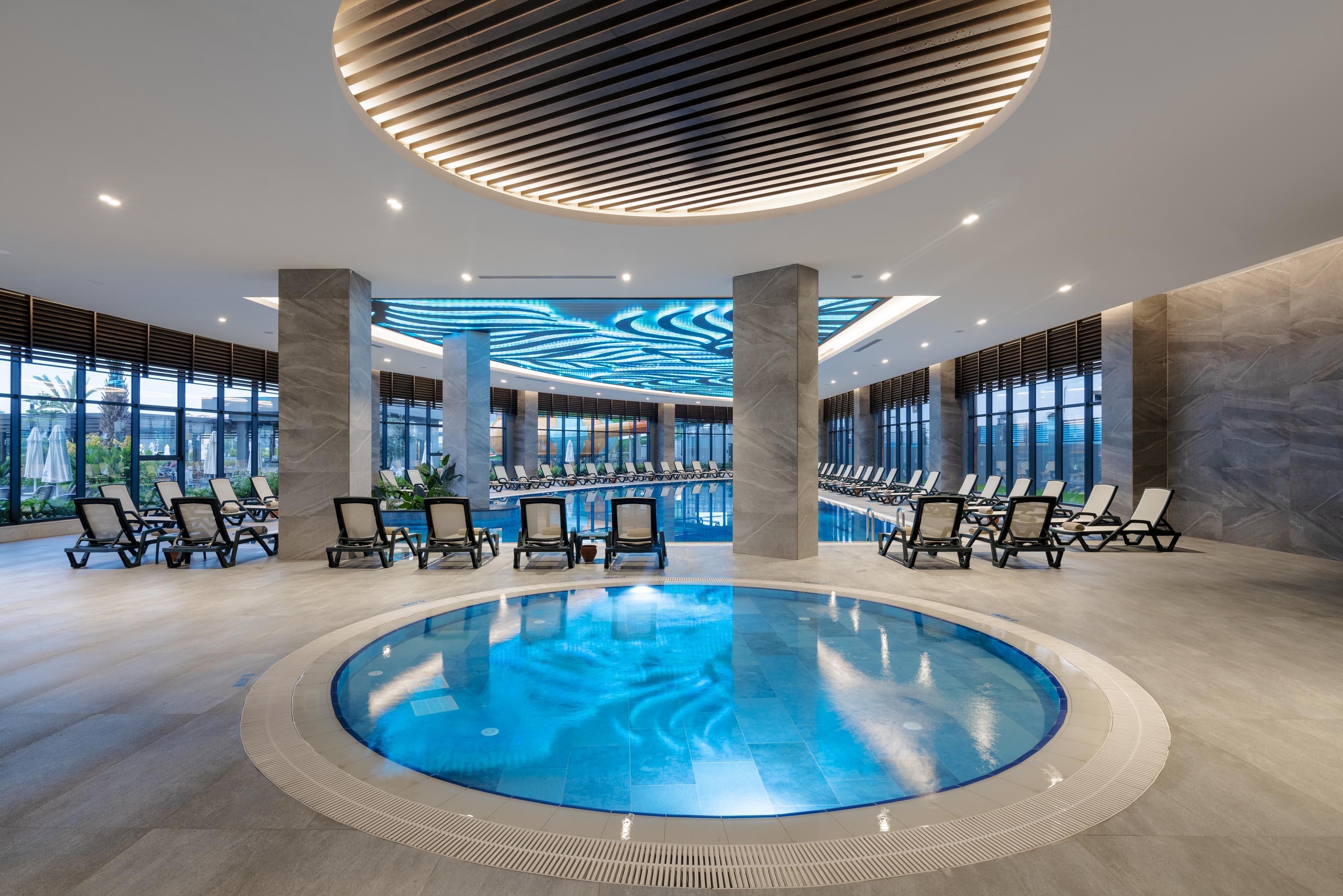 Calyptus Kirman Premium 40