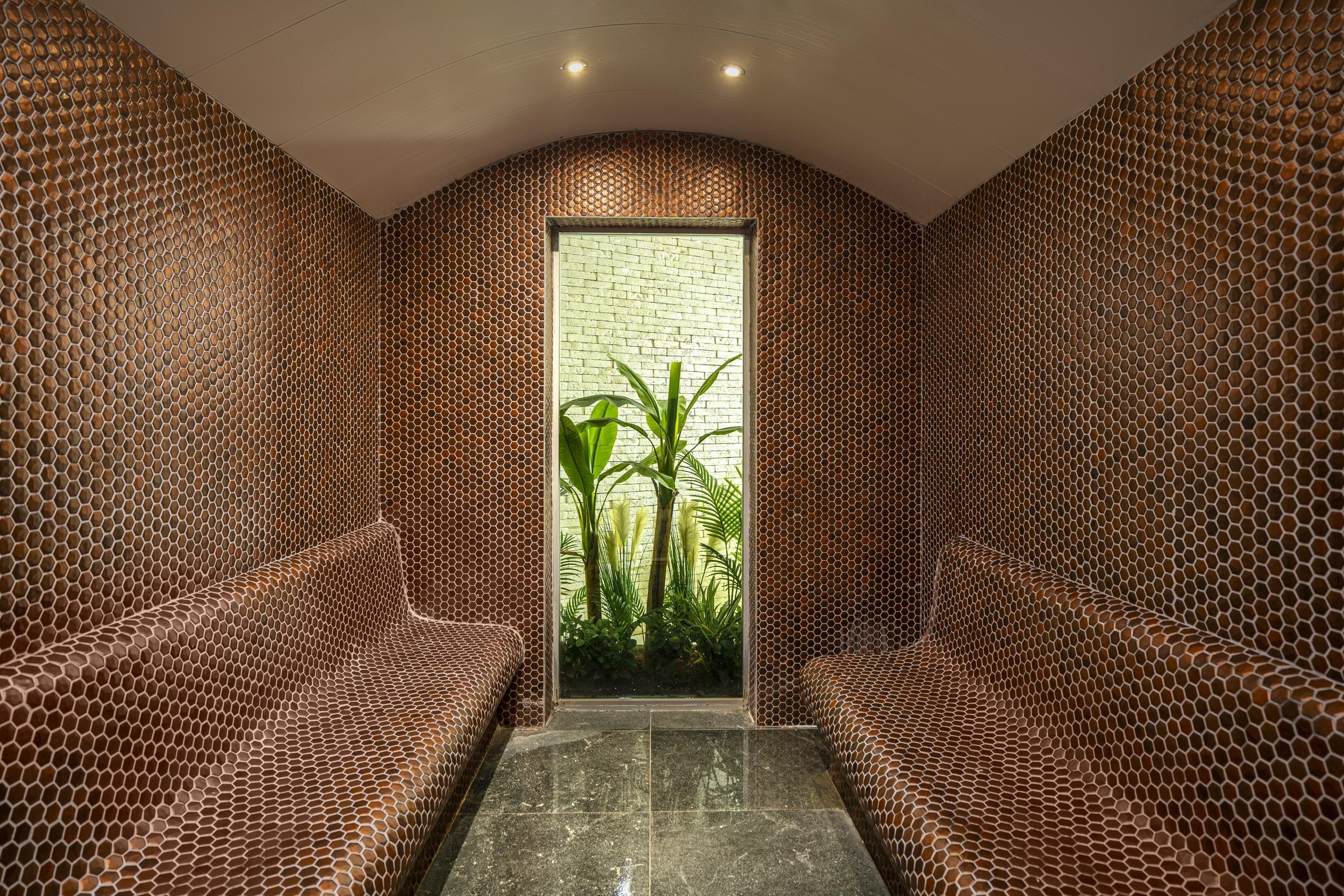 Calyptus Kirman Premium 43