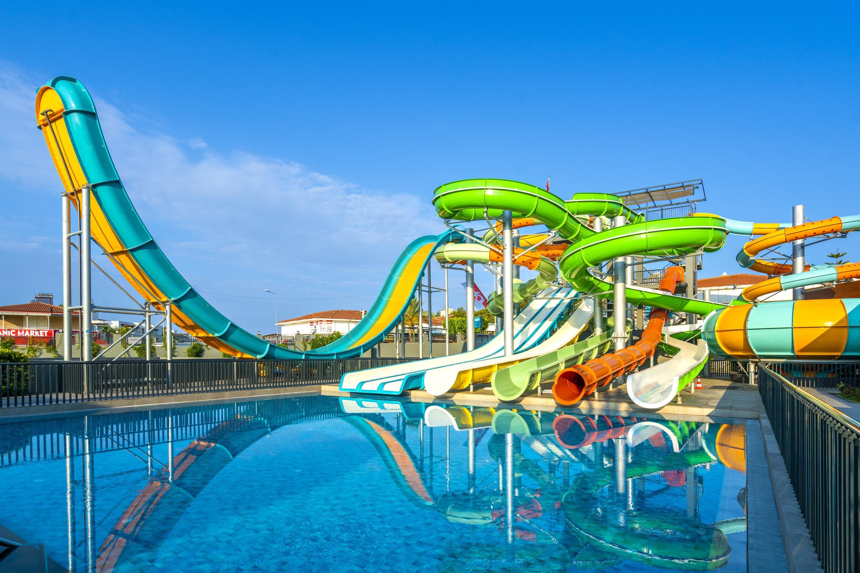 Calyptus Kirman Premium 8