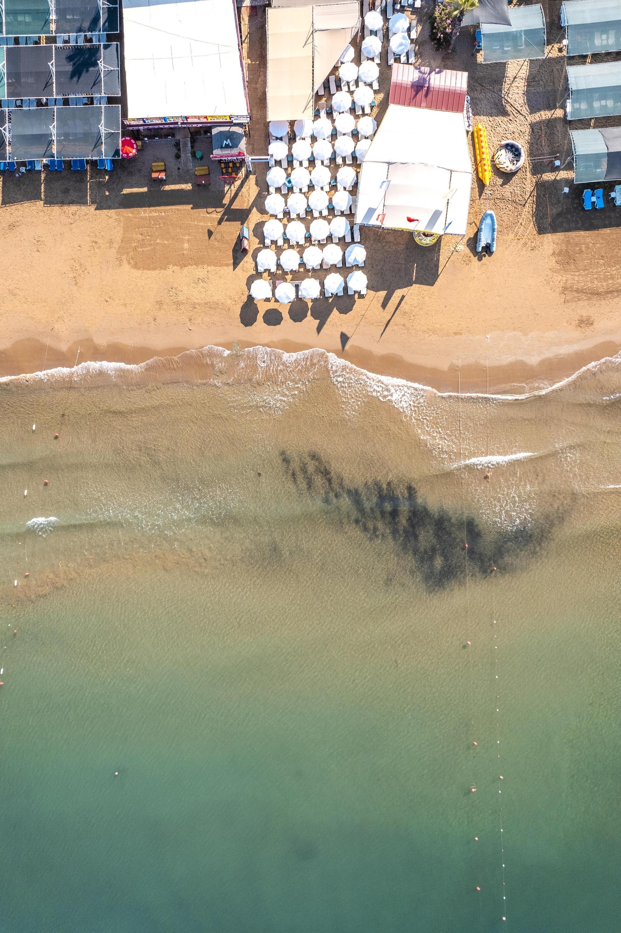 Calyptus Kirman Premium 9