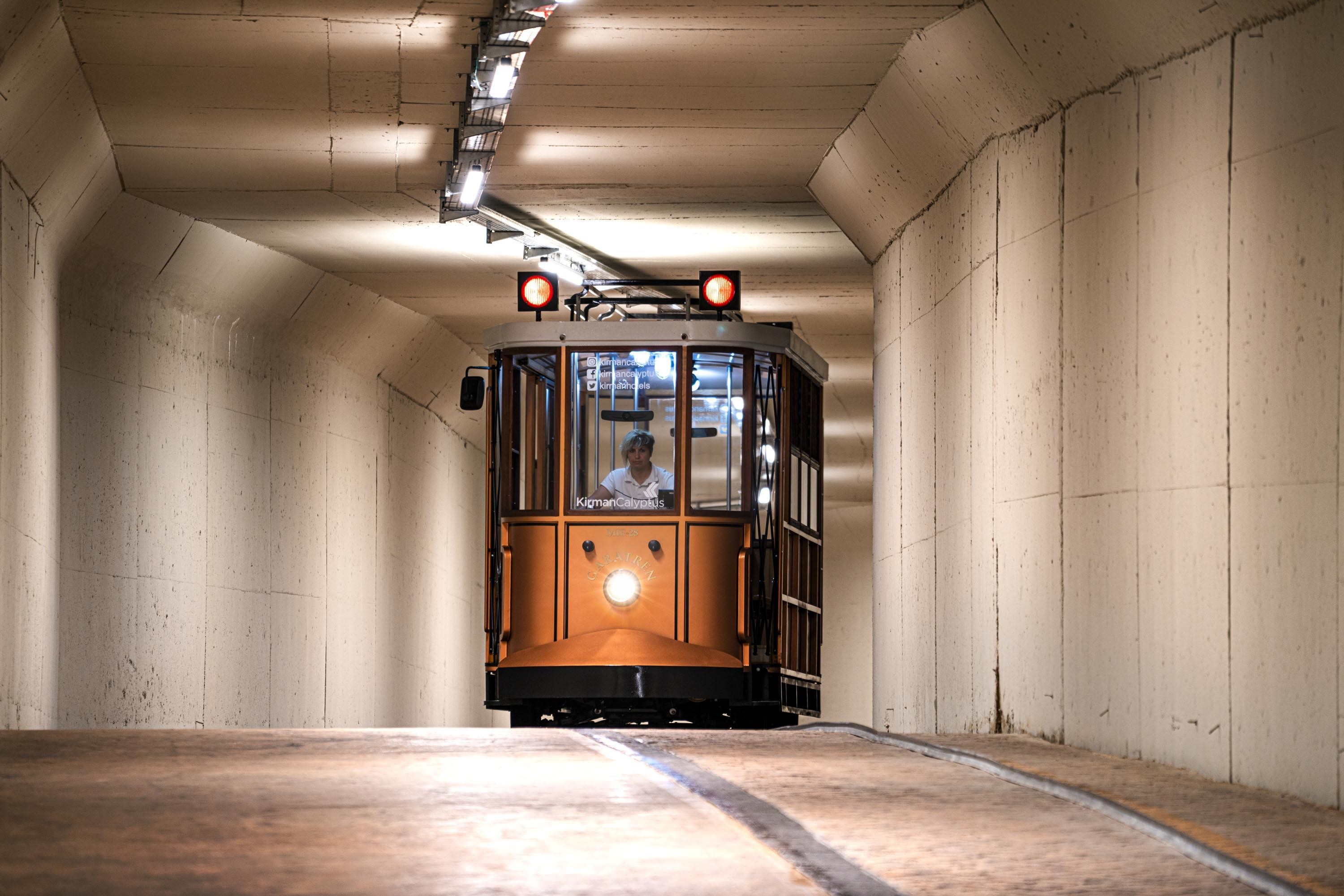 Calyptus Kirman Premium 10