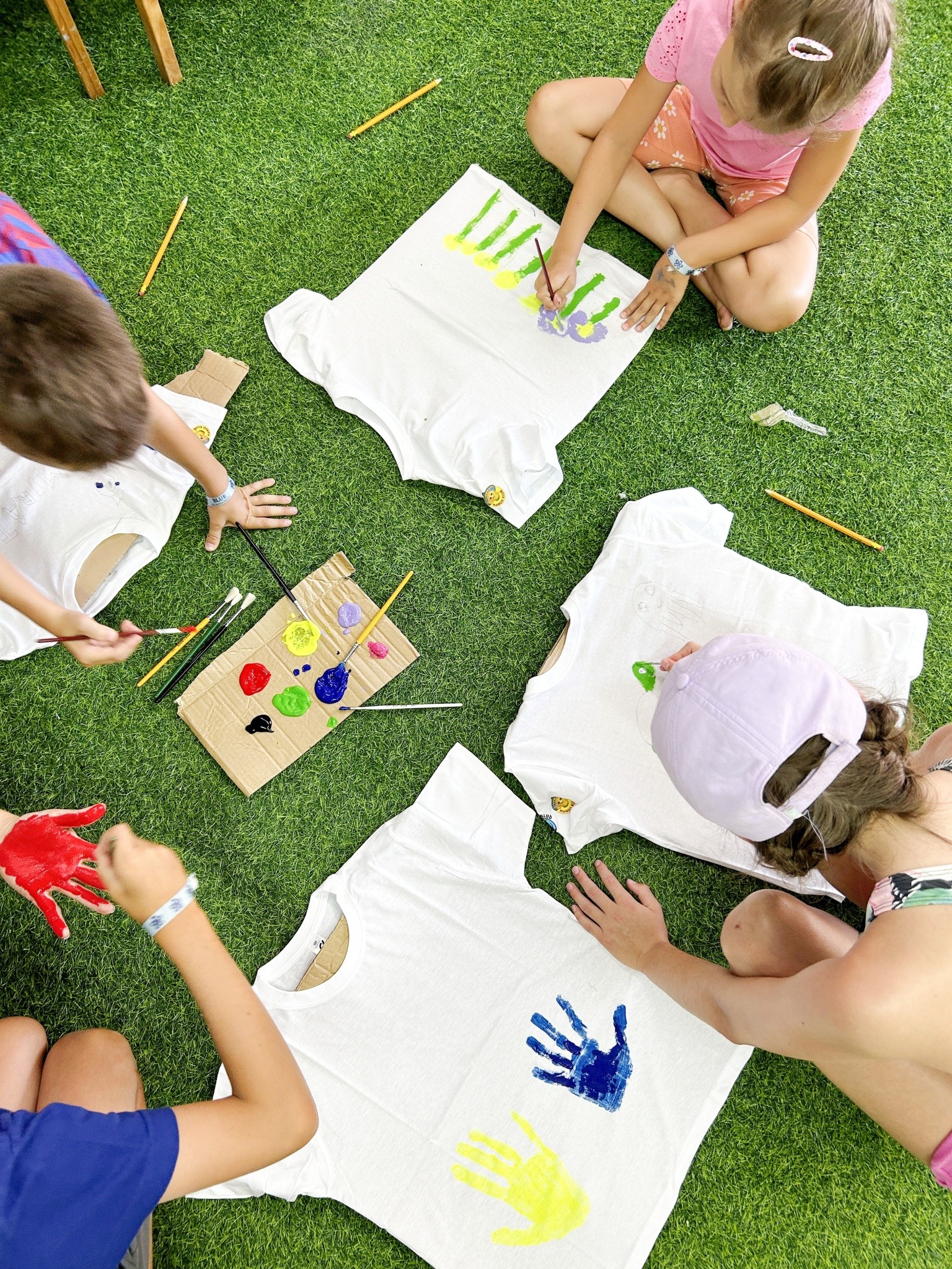 AQI PEGASOS ROYAL 24