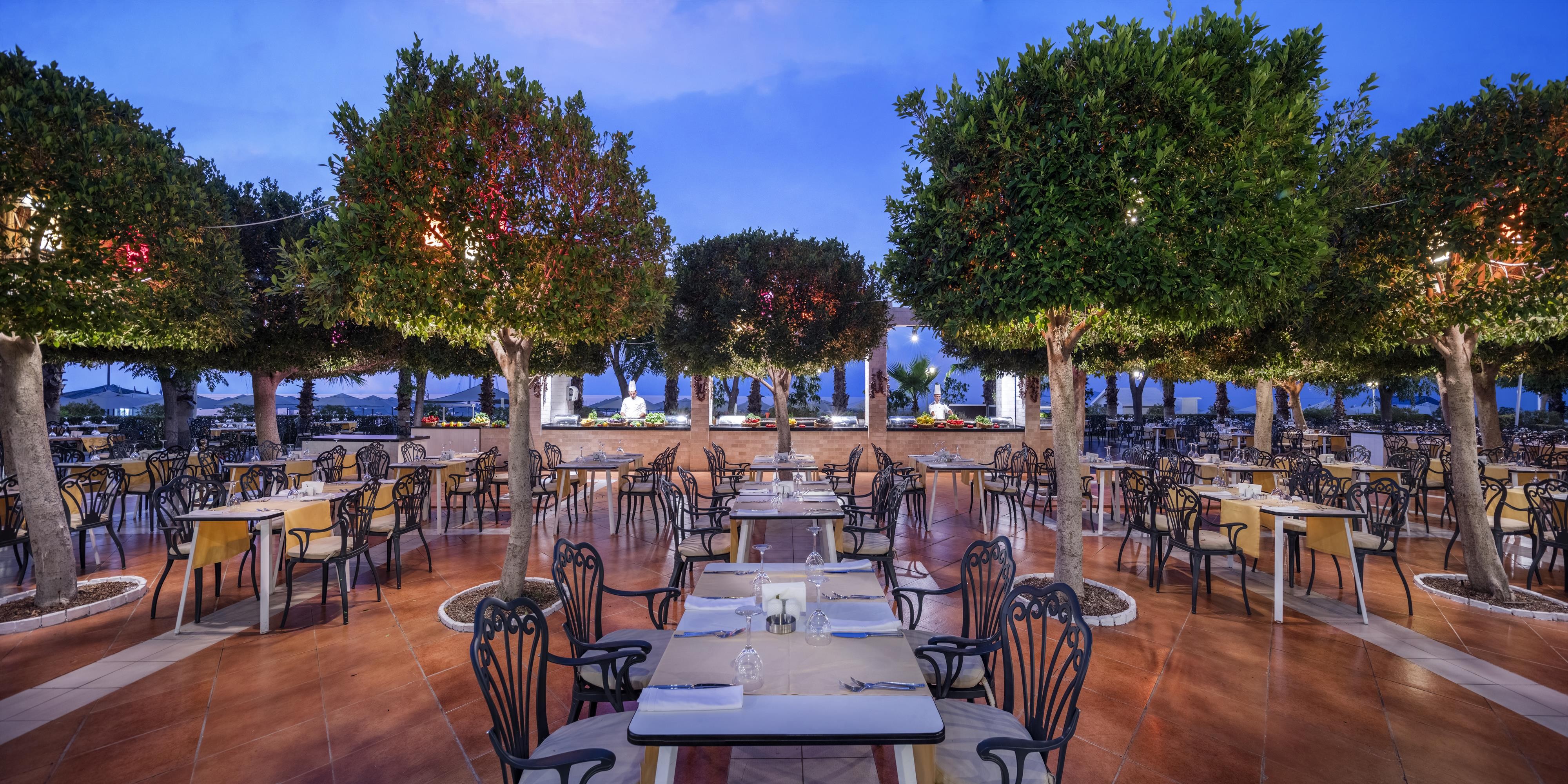 Nirvana Dolce Vita  9